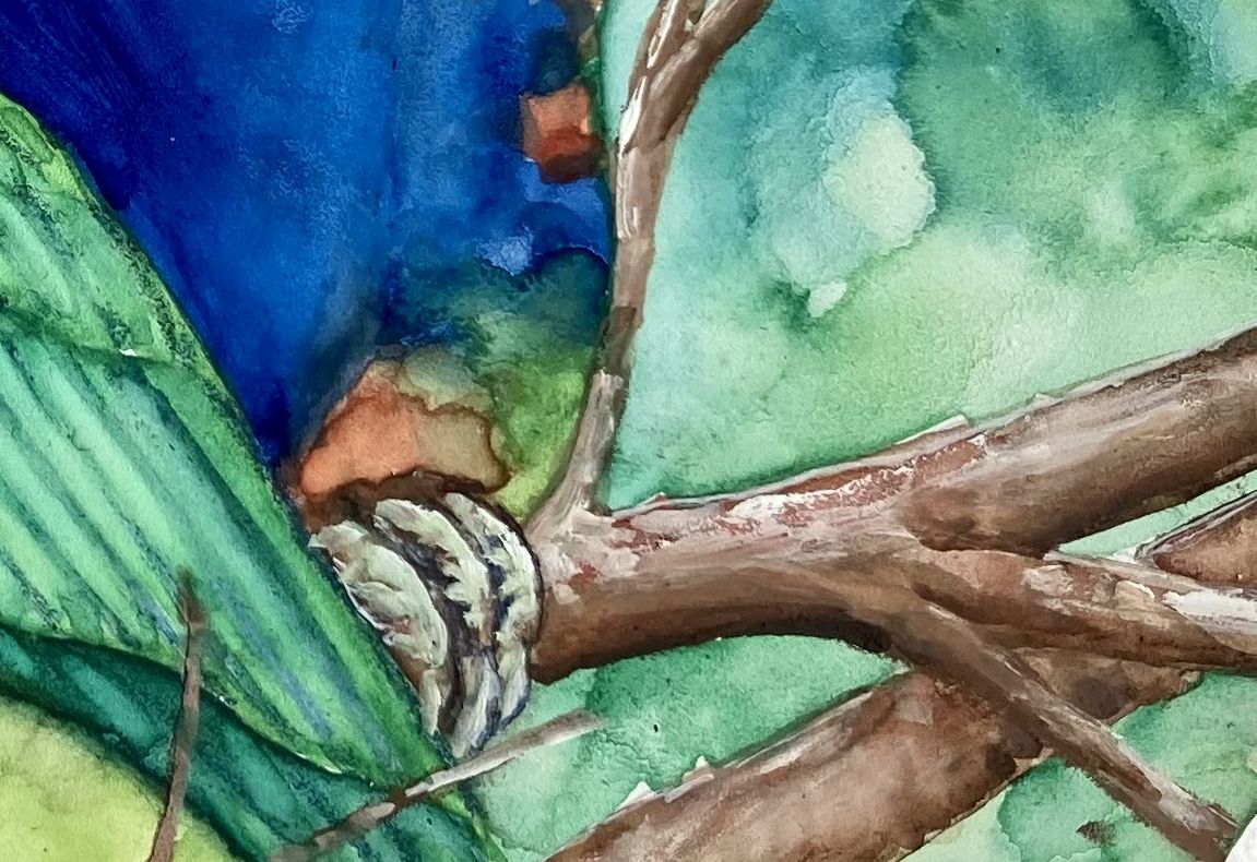 D126 Noisy Fellows Detail 2