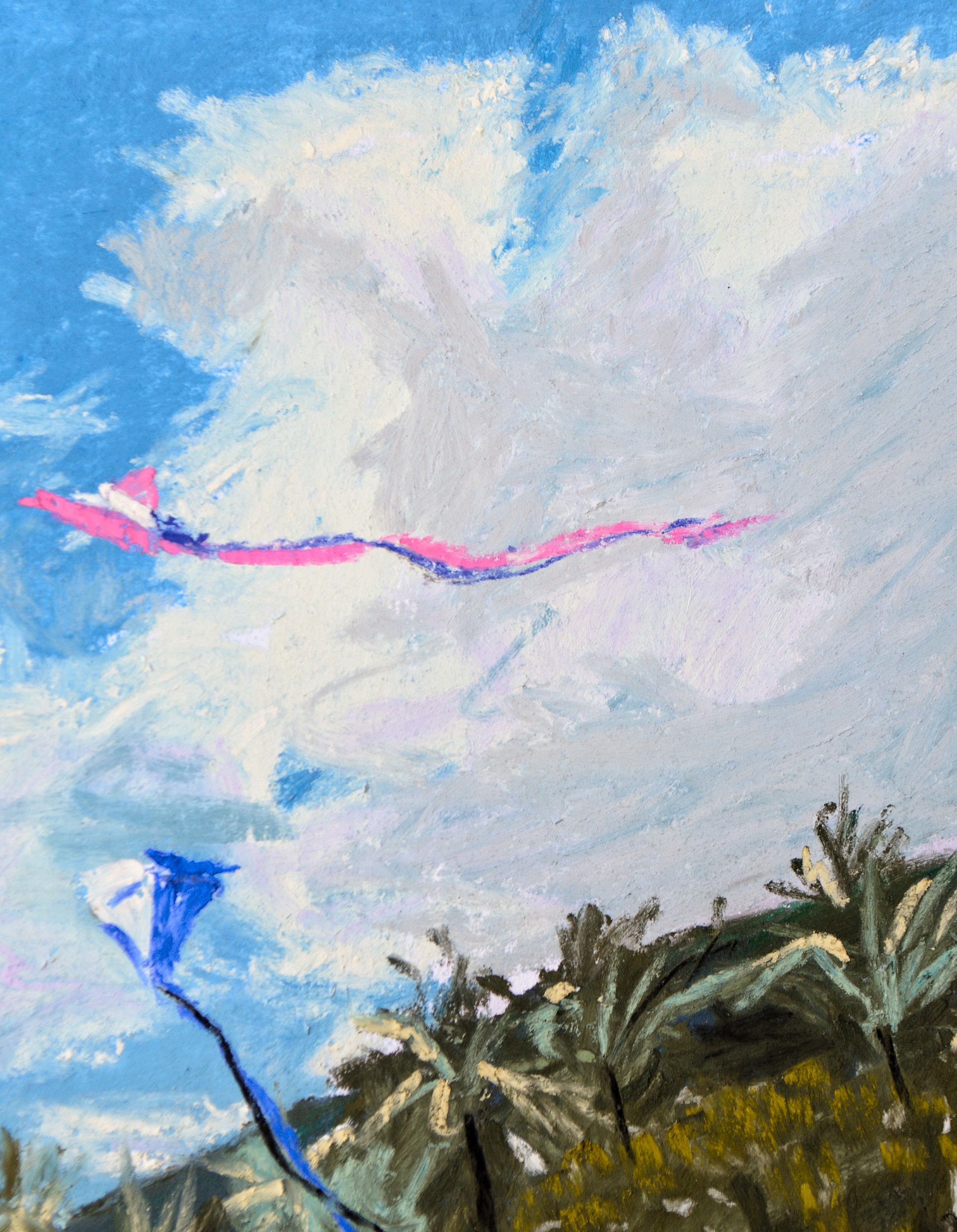 Sam Askin Kites Athe Beach Sky