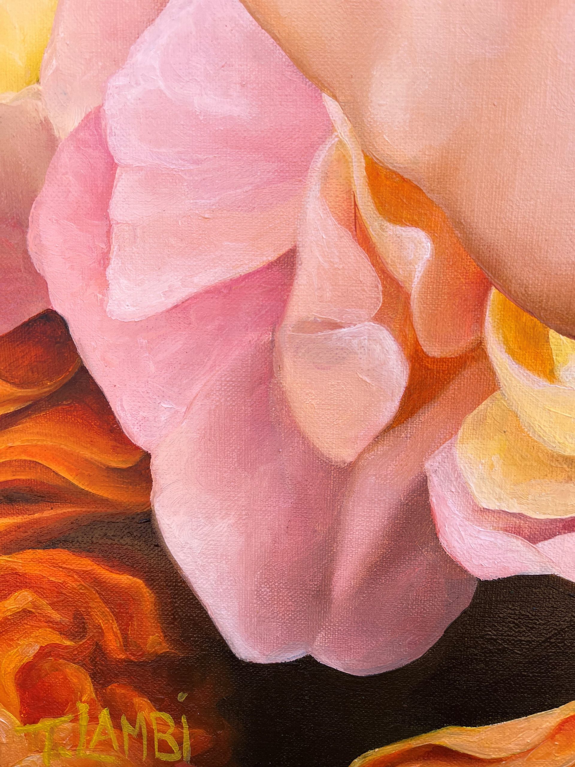 Bloom Baby Bloom Sig 2