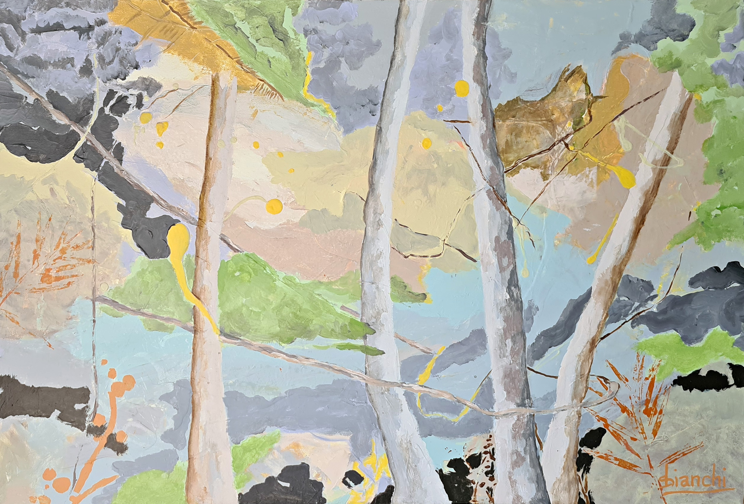 Bush Dreams By Susanne Bianchi