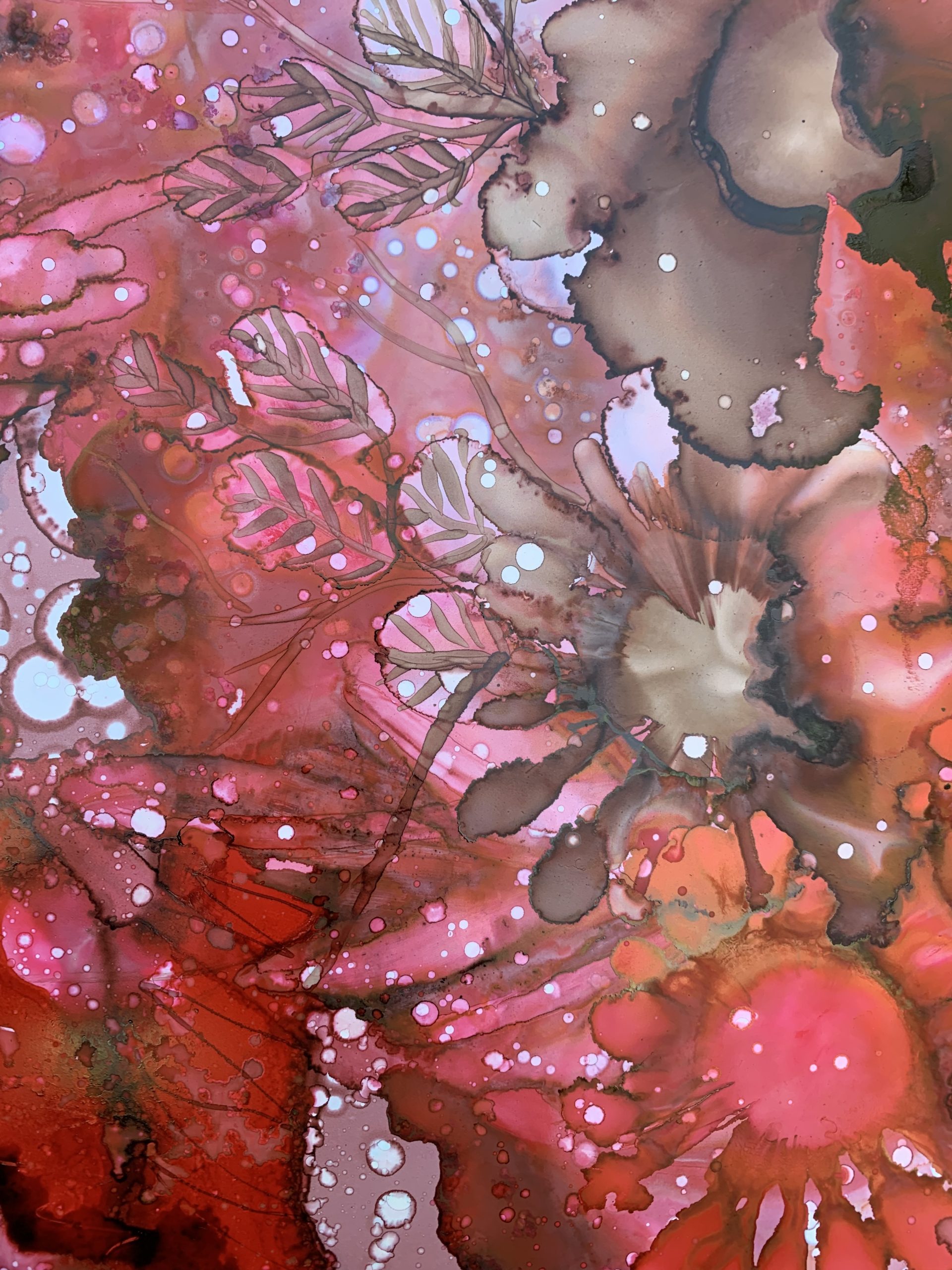 89774bd0 D887 49d0 Ae15 735a5ef08d0b