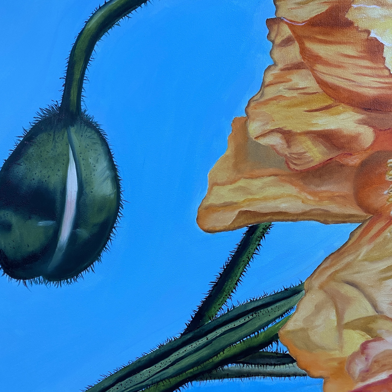 Floating On Air Close Up4 Wendy Peters