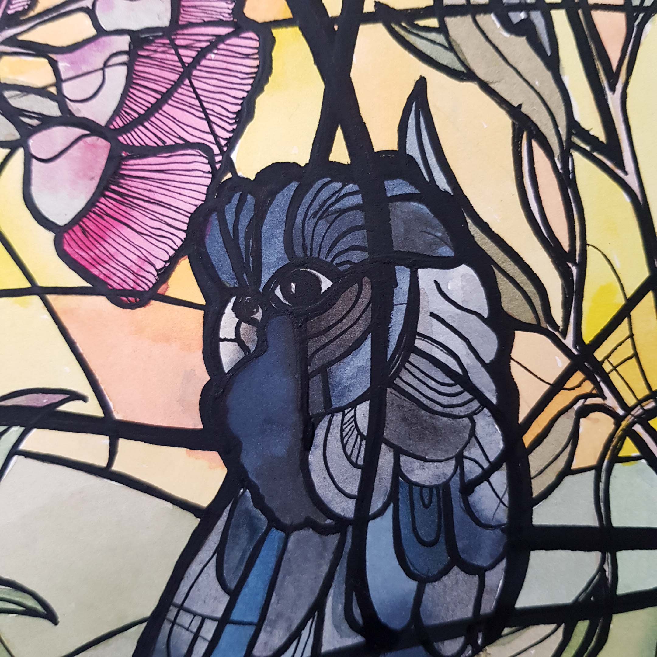 Art Deco Sunrise Red Tailed Black Cockatoo