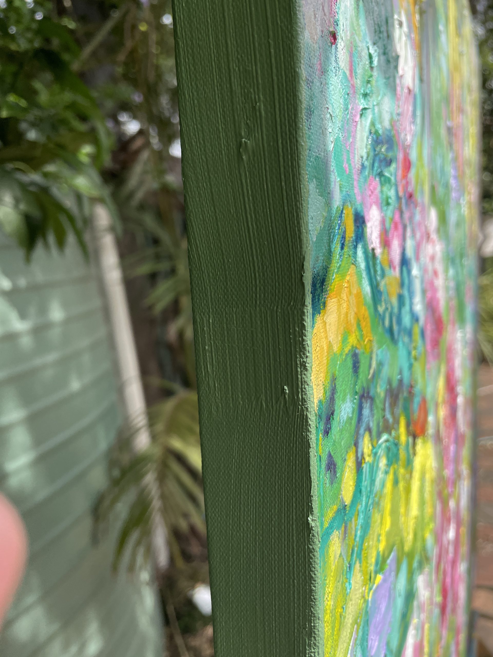 Tree Ferns And Rhododendrons Side View