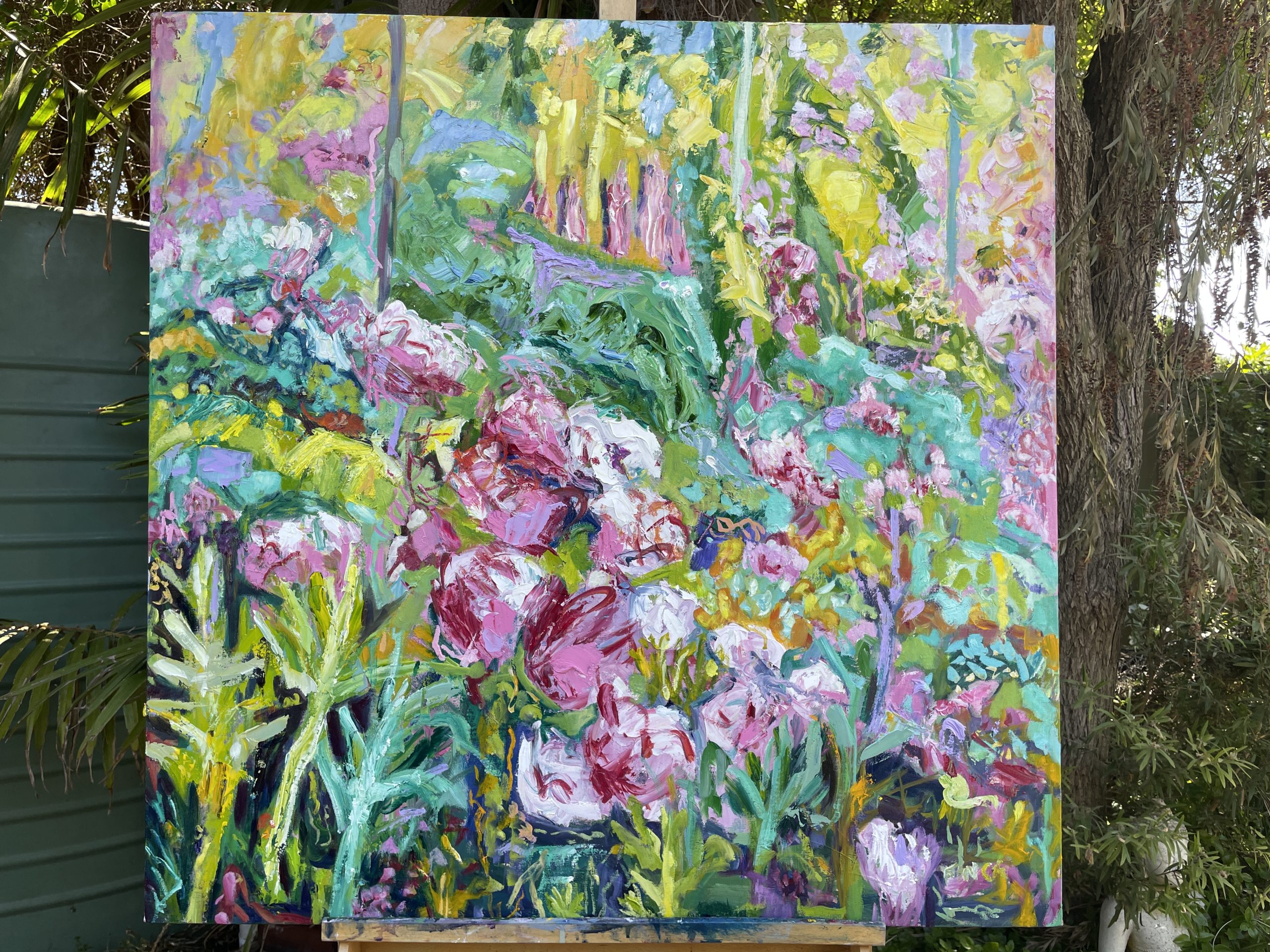 Tree Ferns And Rhododendrons Studio View