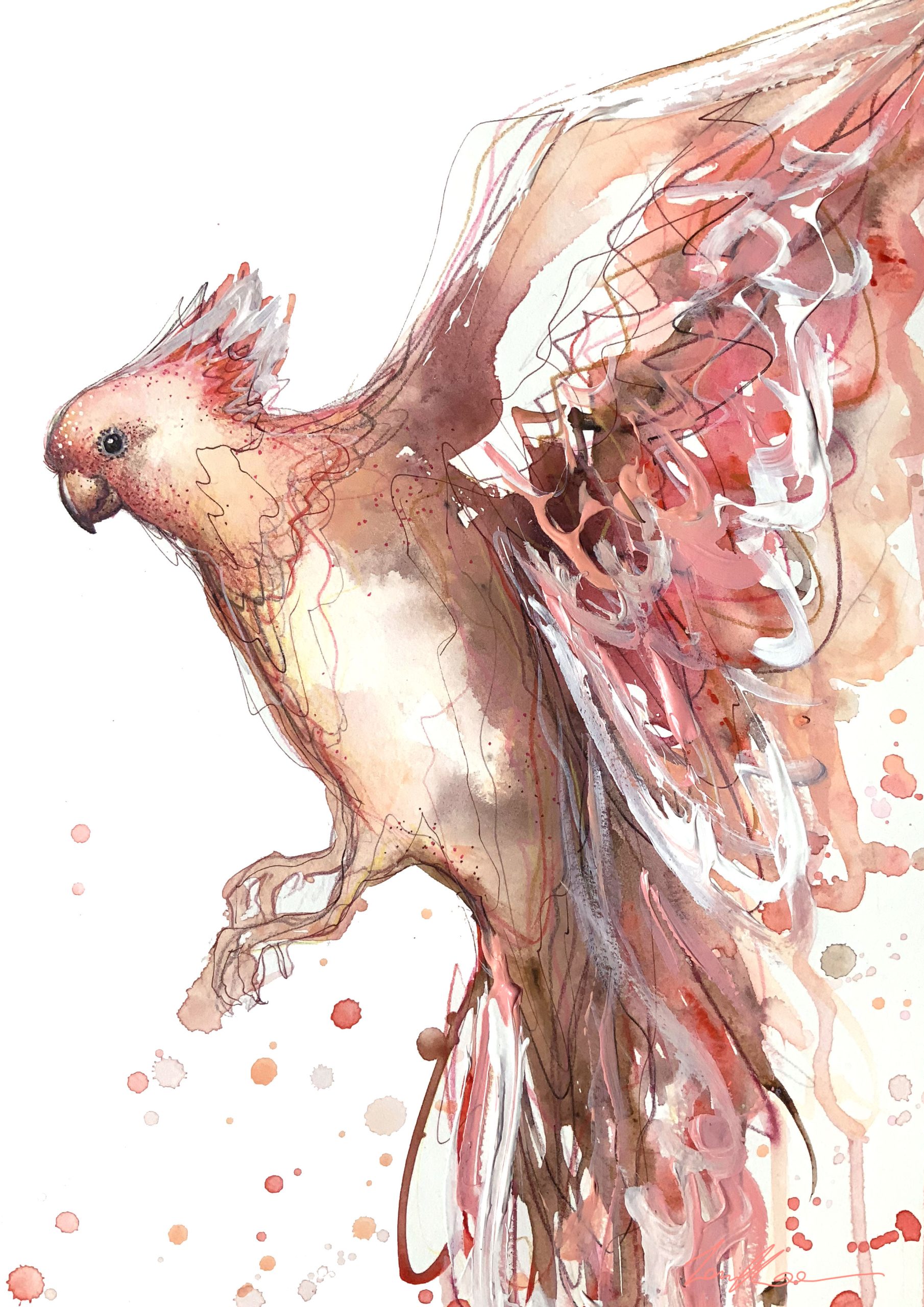 A0d62135 2bb0 43ea 8be9 Fcaeb45e3fe9