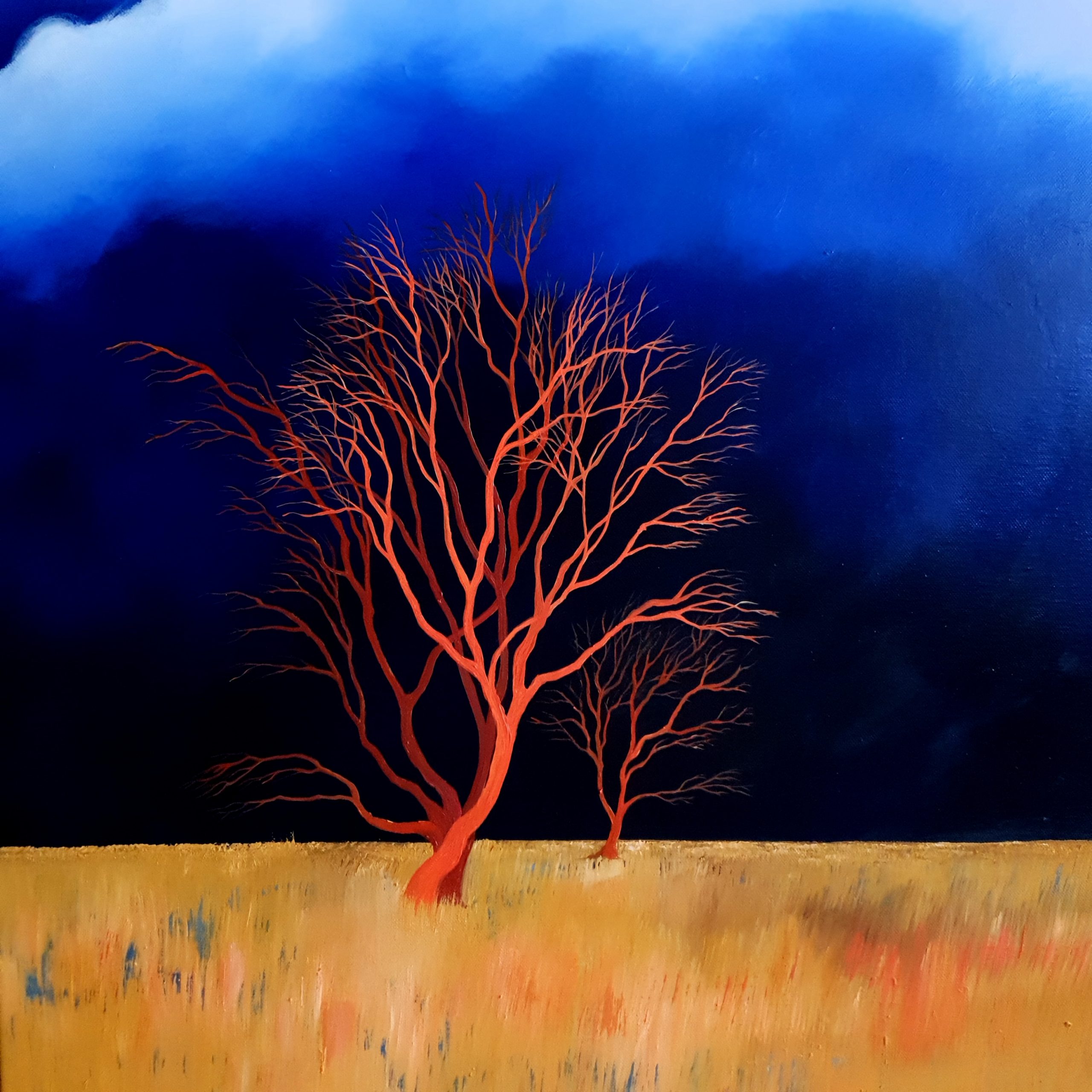 Living Under The Sky Lucinda Leveille 1