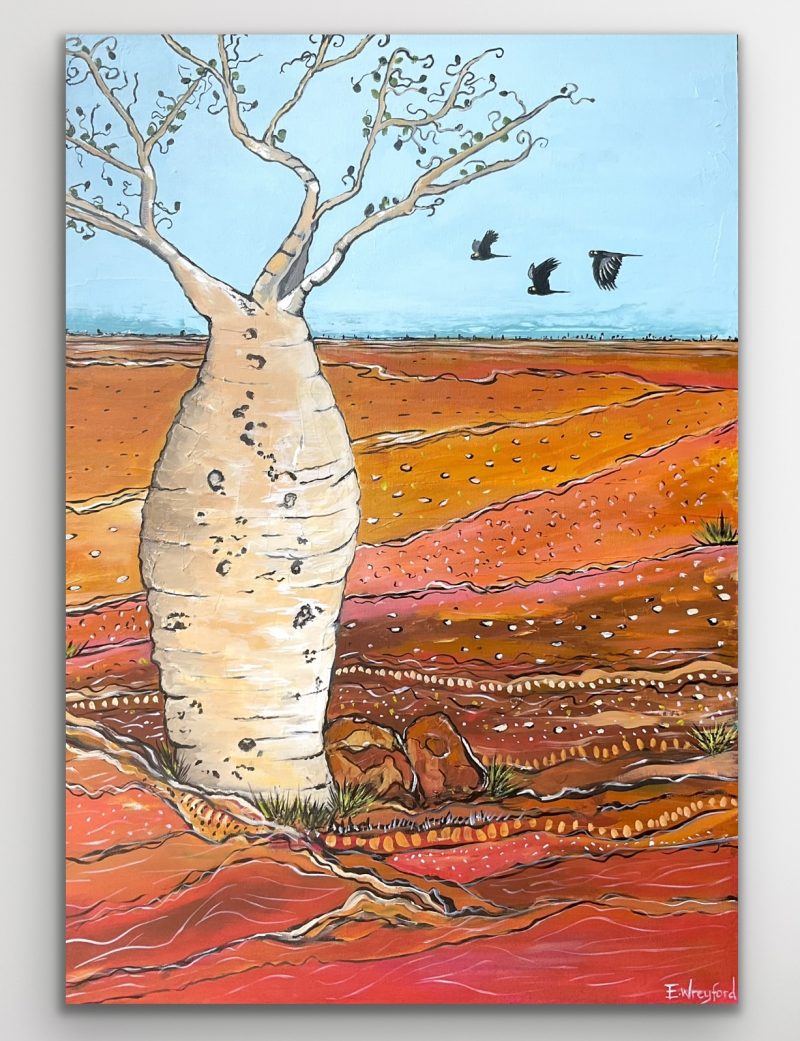 Desert living – the life of a Boab tree