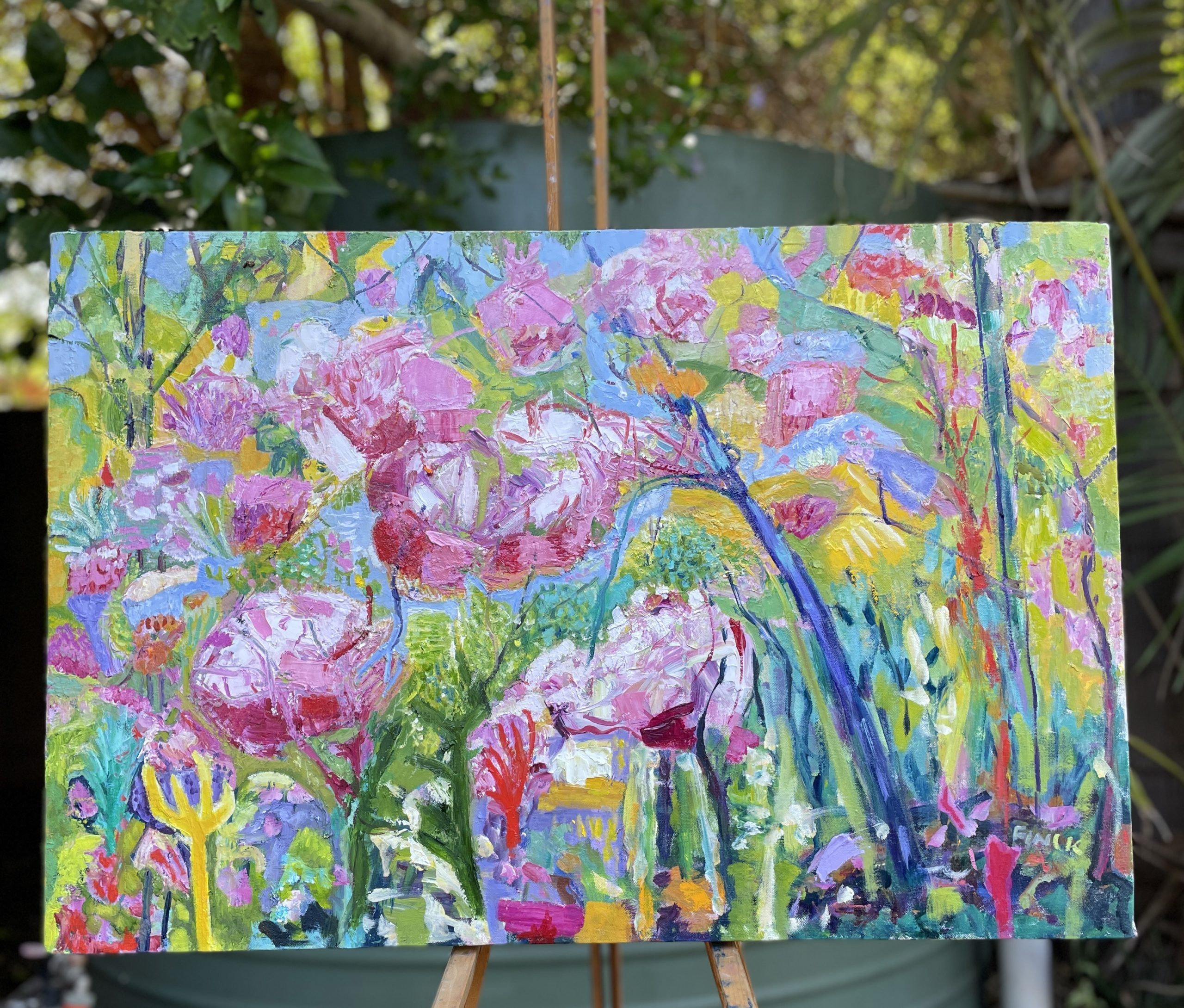 The Triffids Studio View