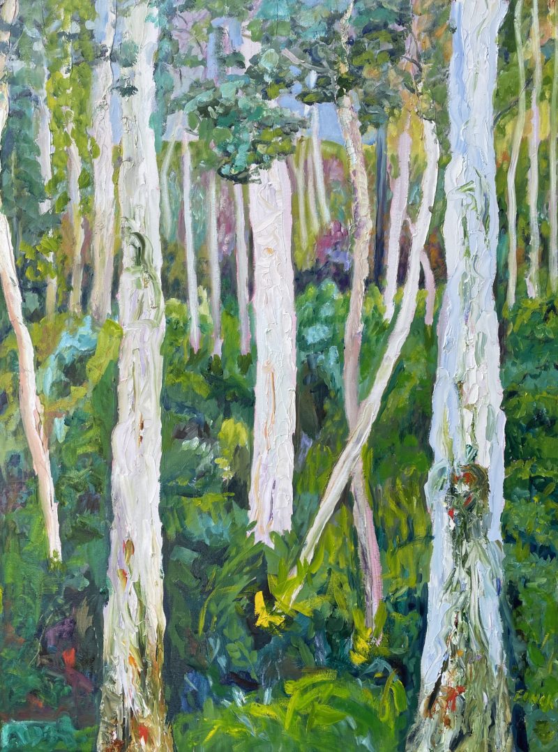 Ghost Gum Forest 1