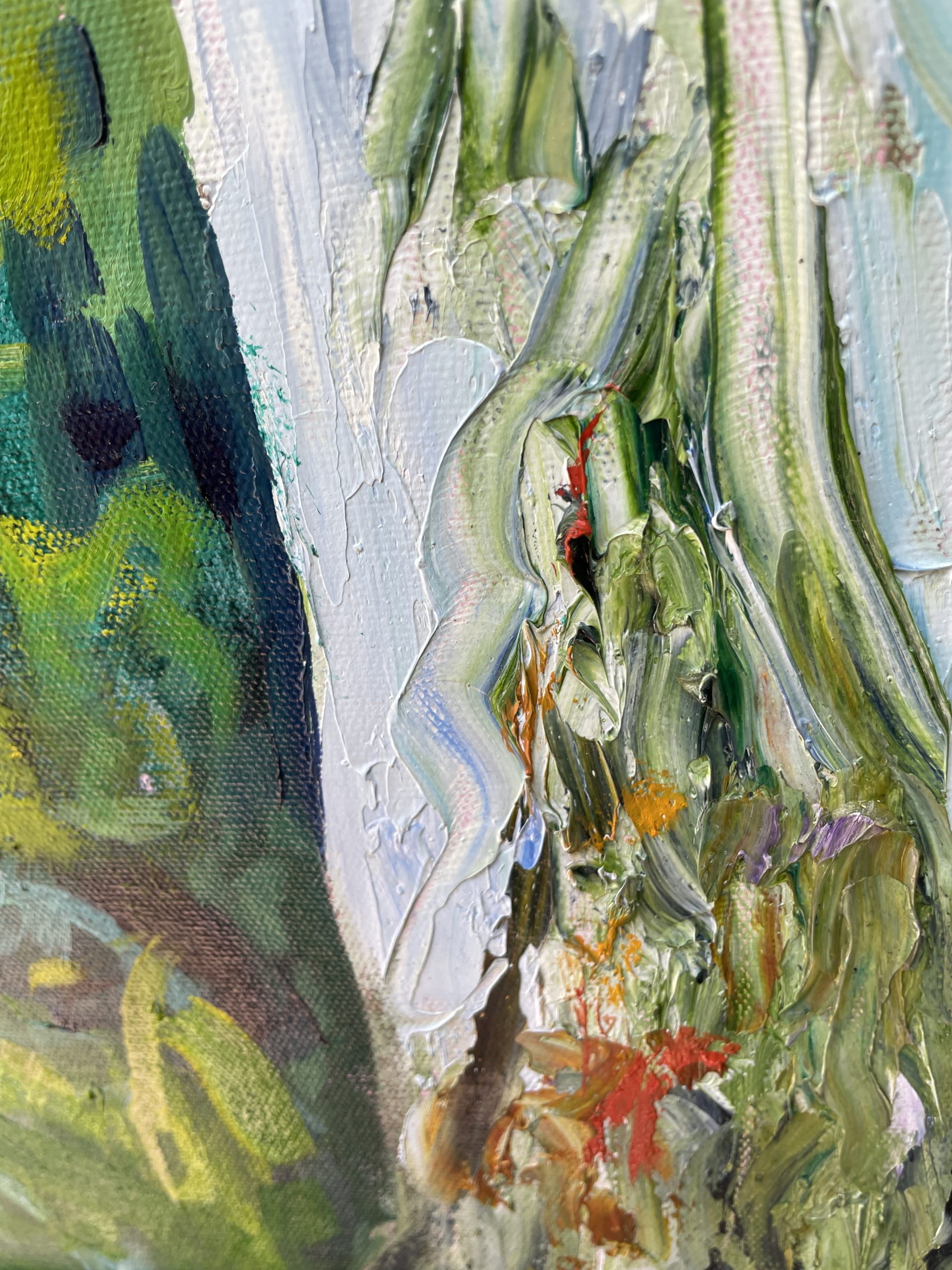 Ghost Gum Forest 1 Closeup 2