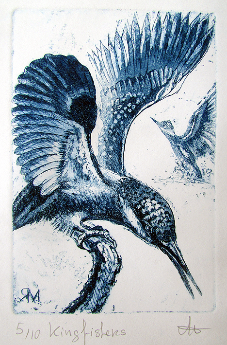 Kingfishers  Ltd Ed Print