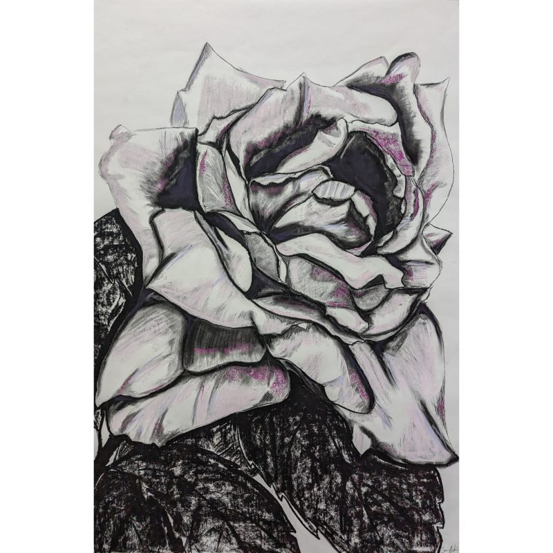 Charcoal Rose