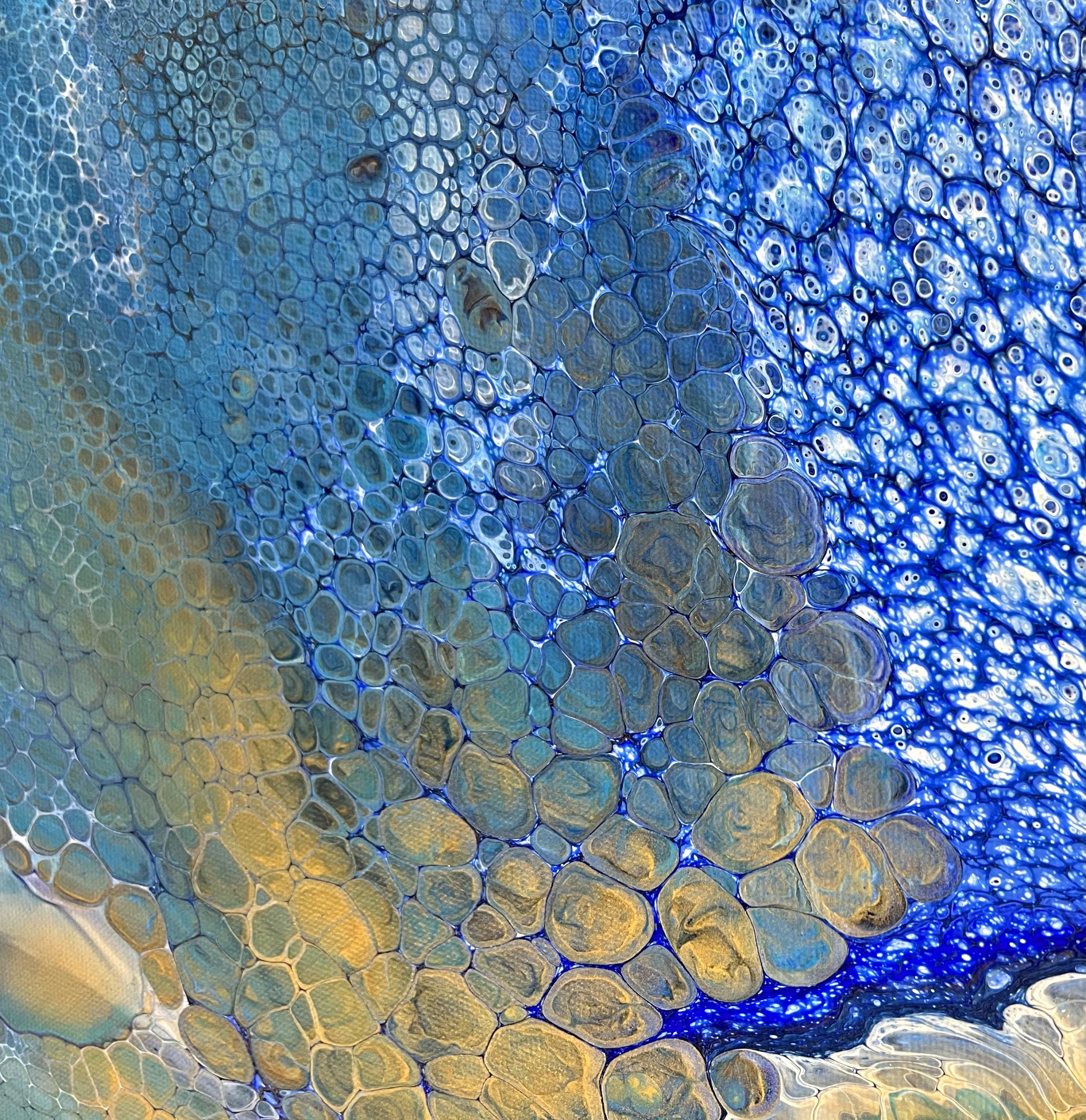 2b4f65df 8917 42e9 Ae0d 722a0c25d01f