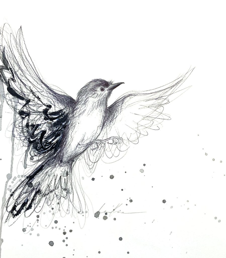 Willy Wagtail Spirit Art Lovers Australia