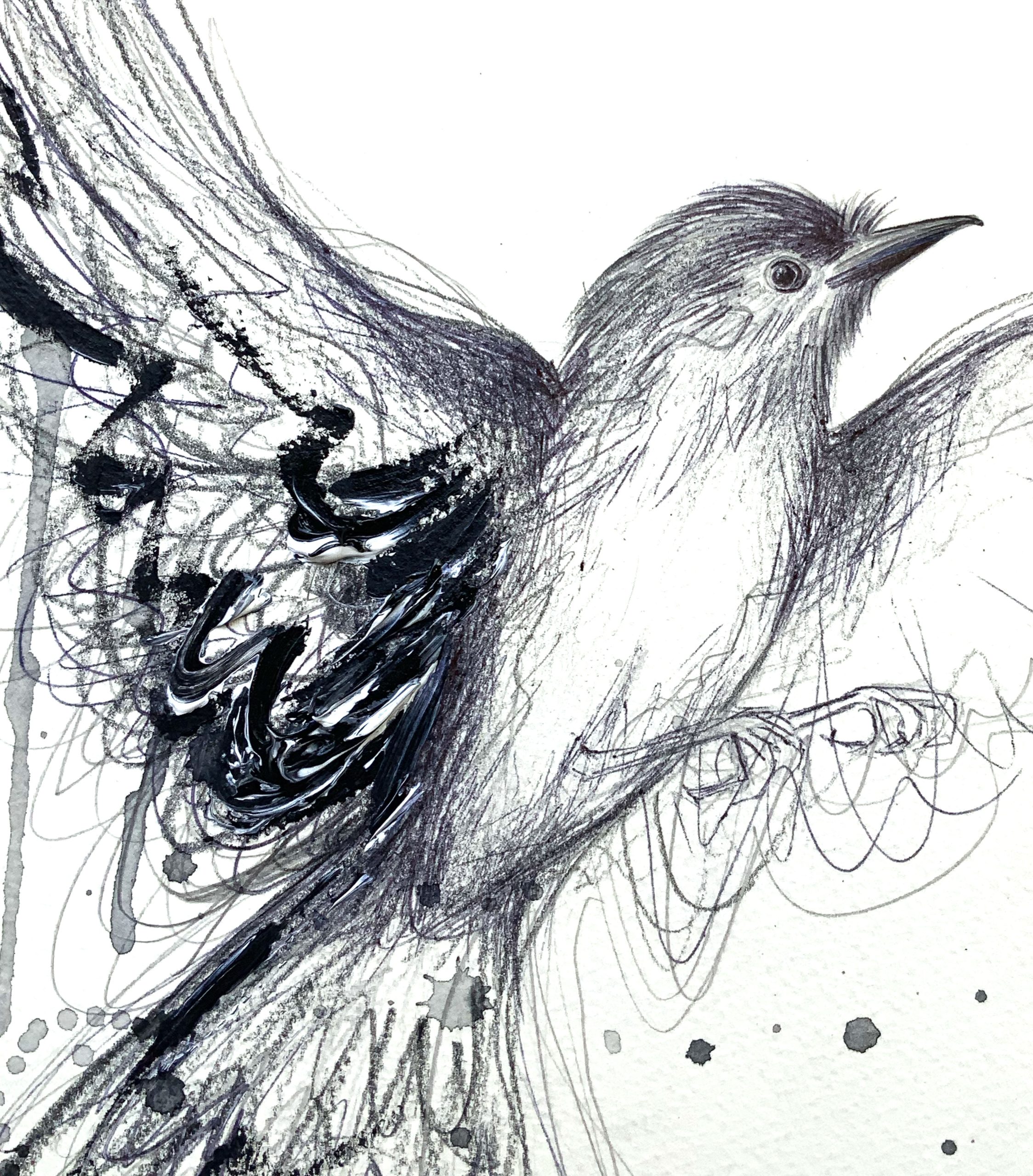 Sydney Artist Leni Kae Willy Wagtail Art Spirit Animal Closeup
