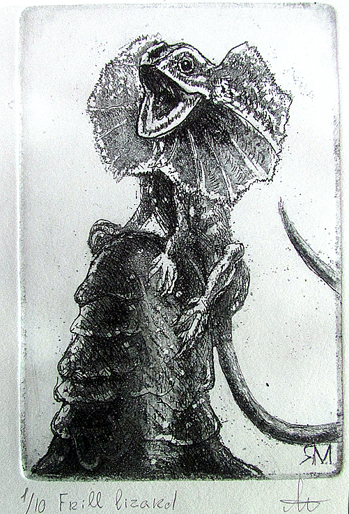 Frill Lizard Ltd Ed Print