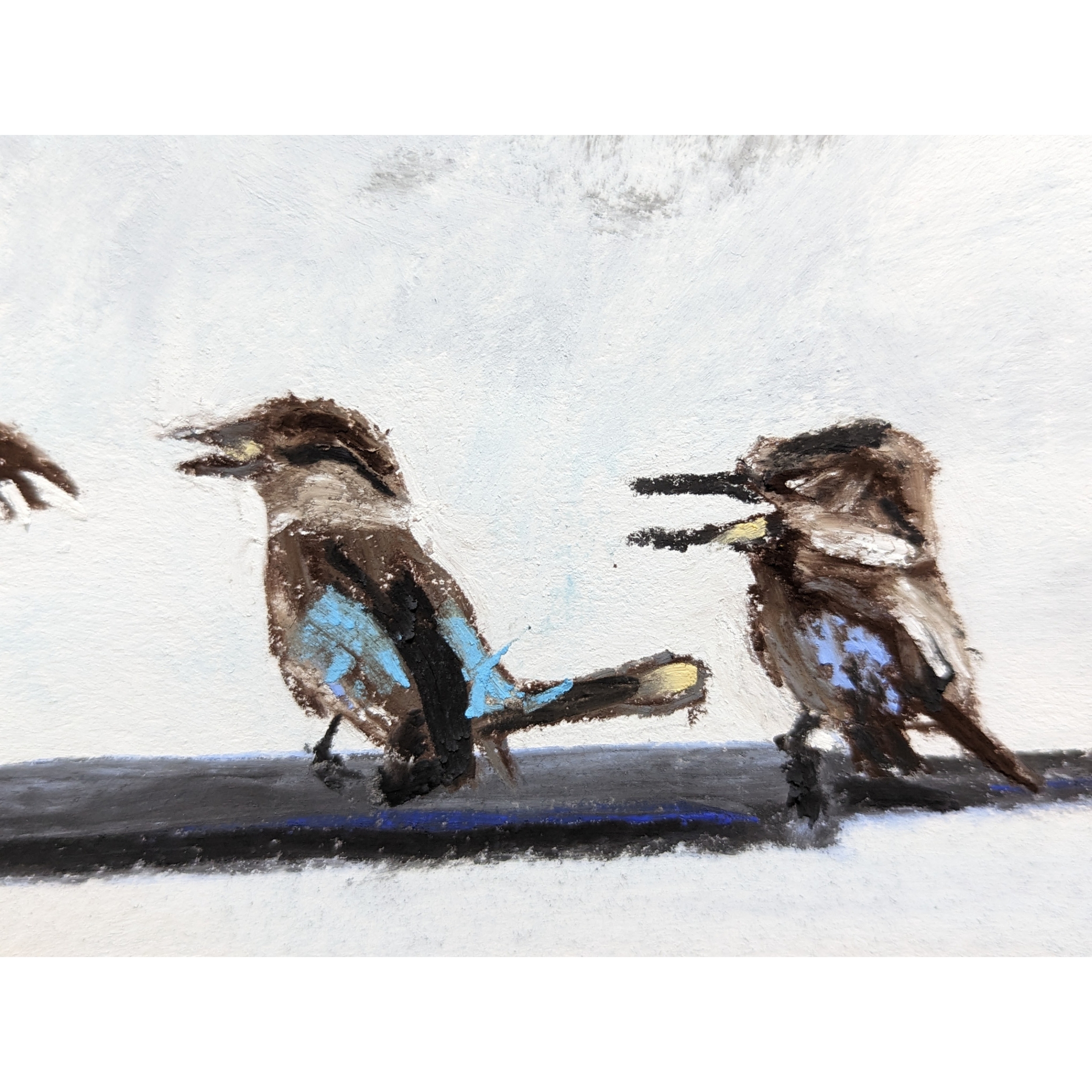 Sam Askin Kookaburra Chats Closeup