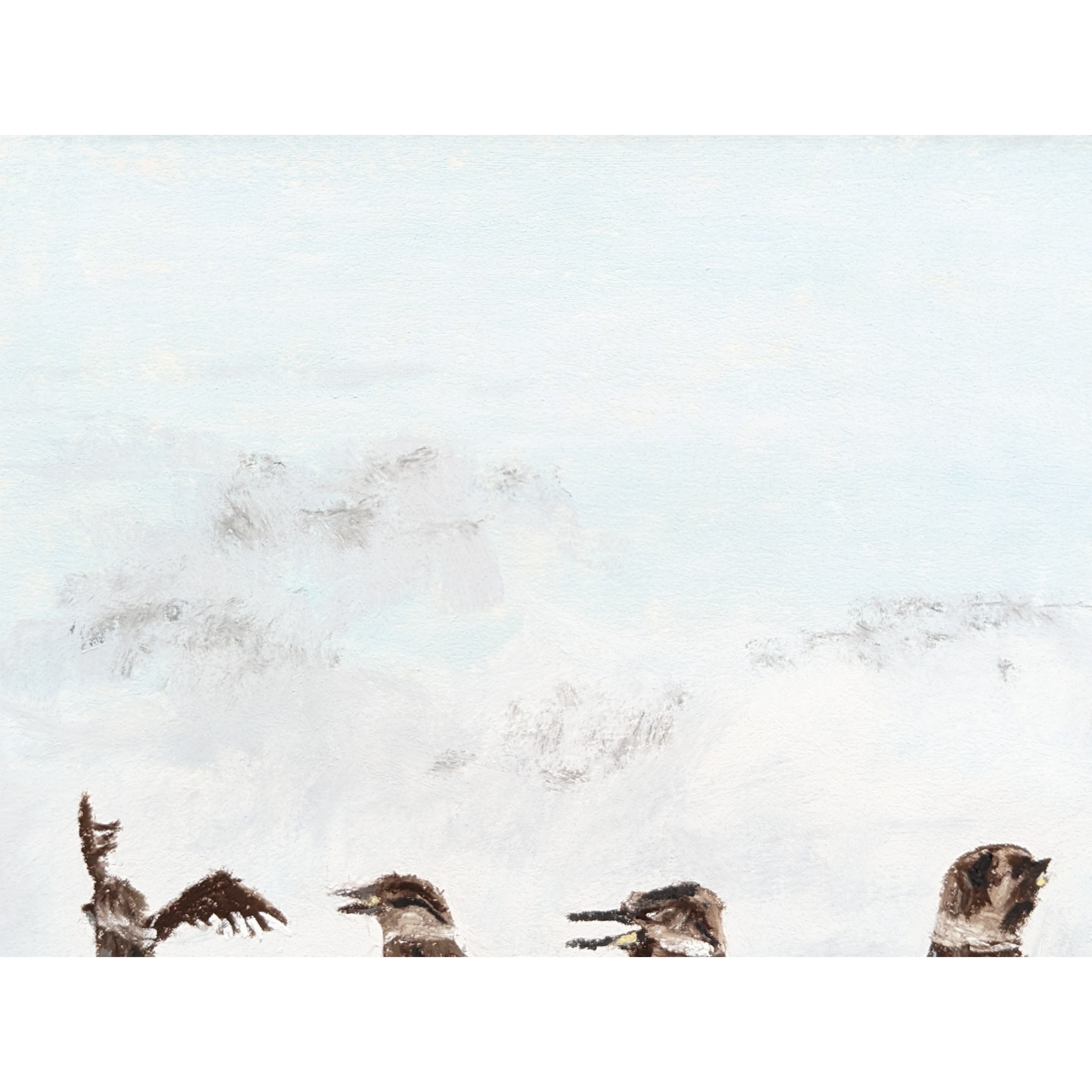 Sam Askin Kookaburra Chats Sky