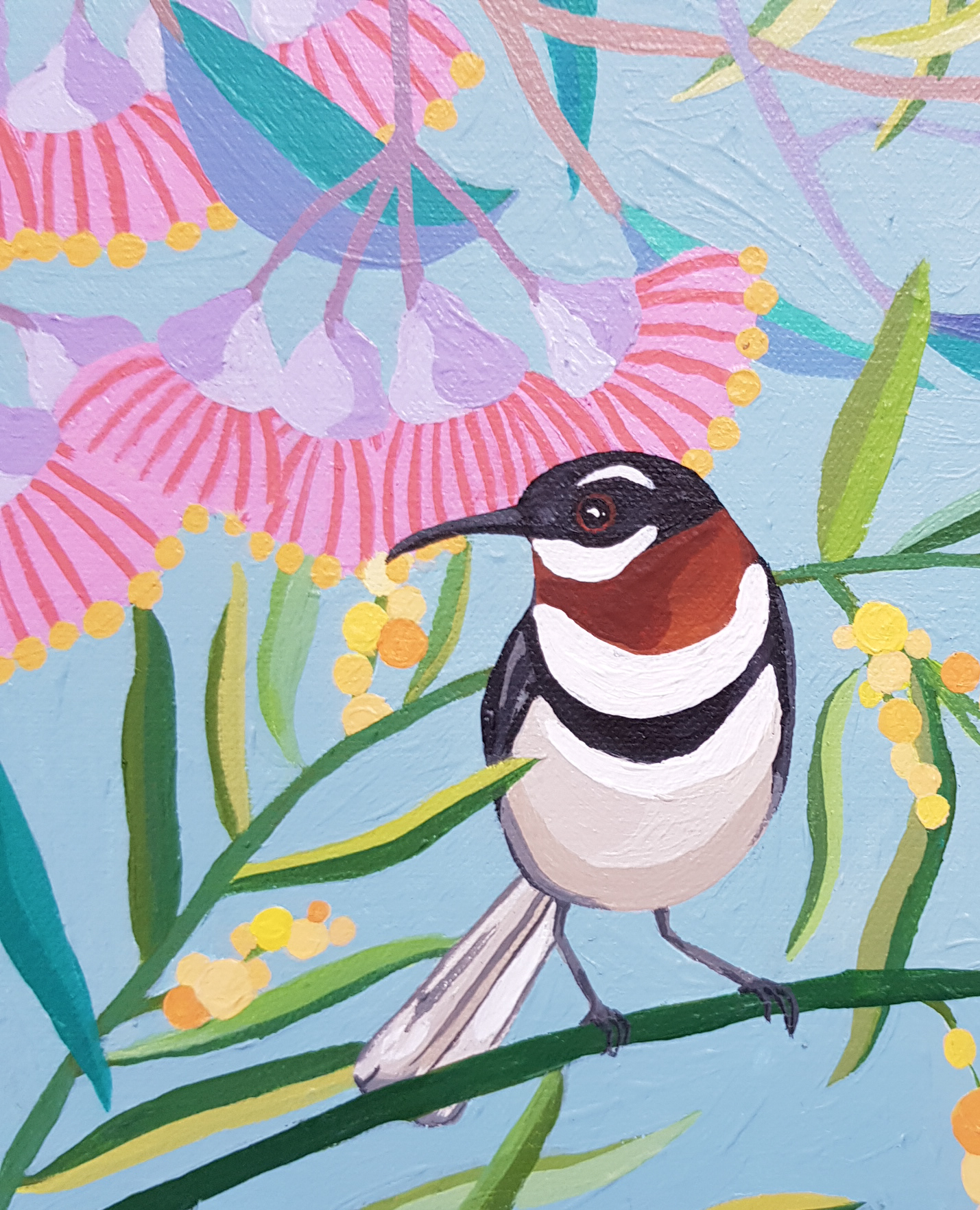 Bird And Blooms By Nicola Cowie Western Spinebill