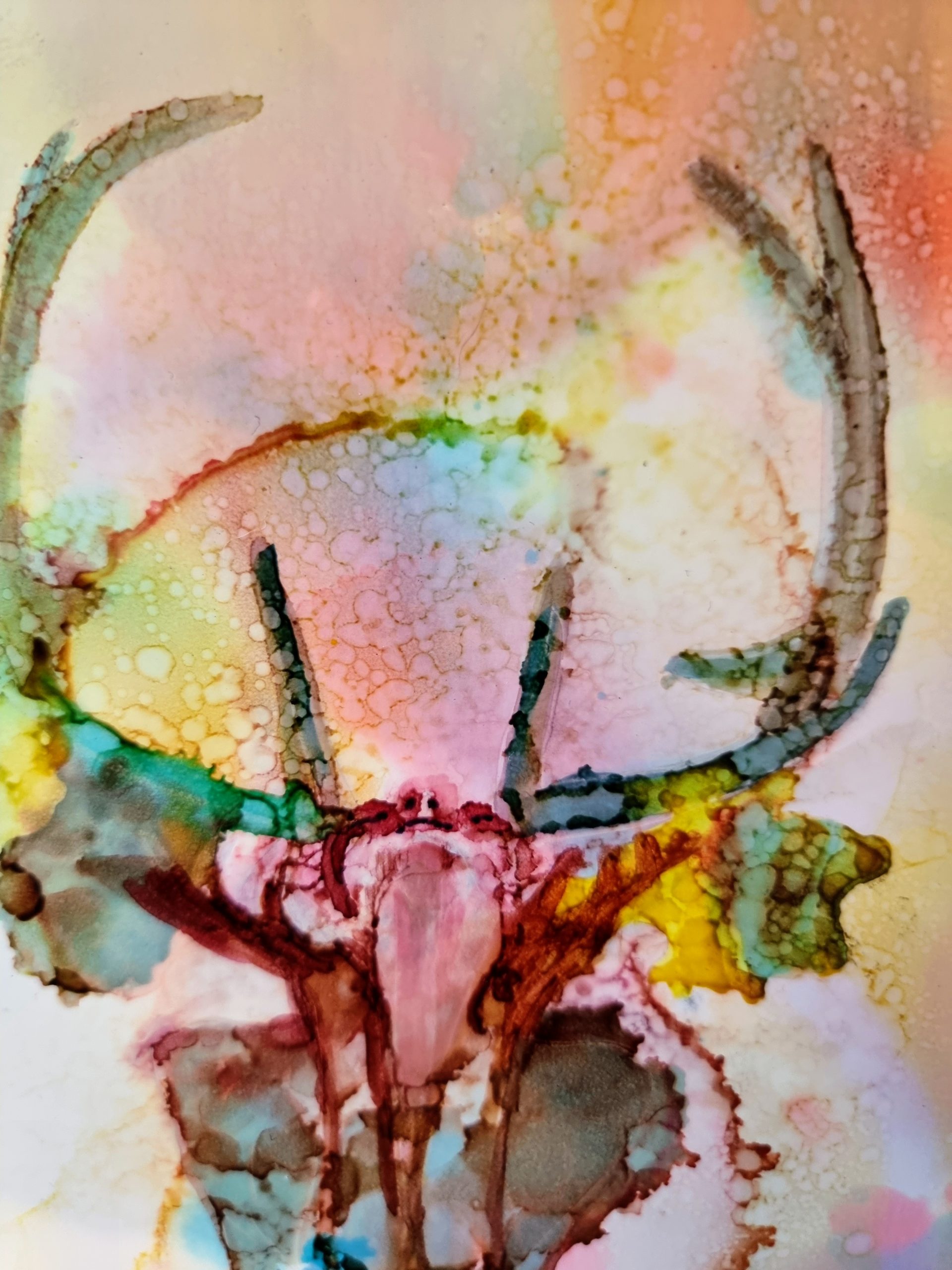 Transformation Detail