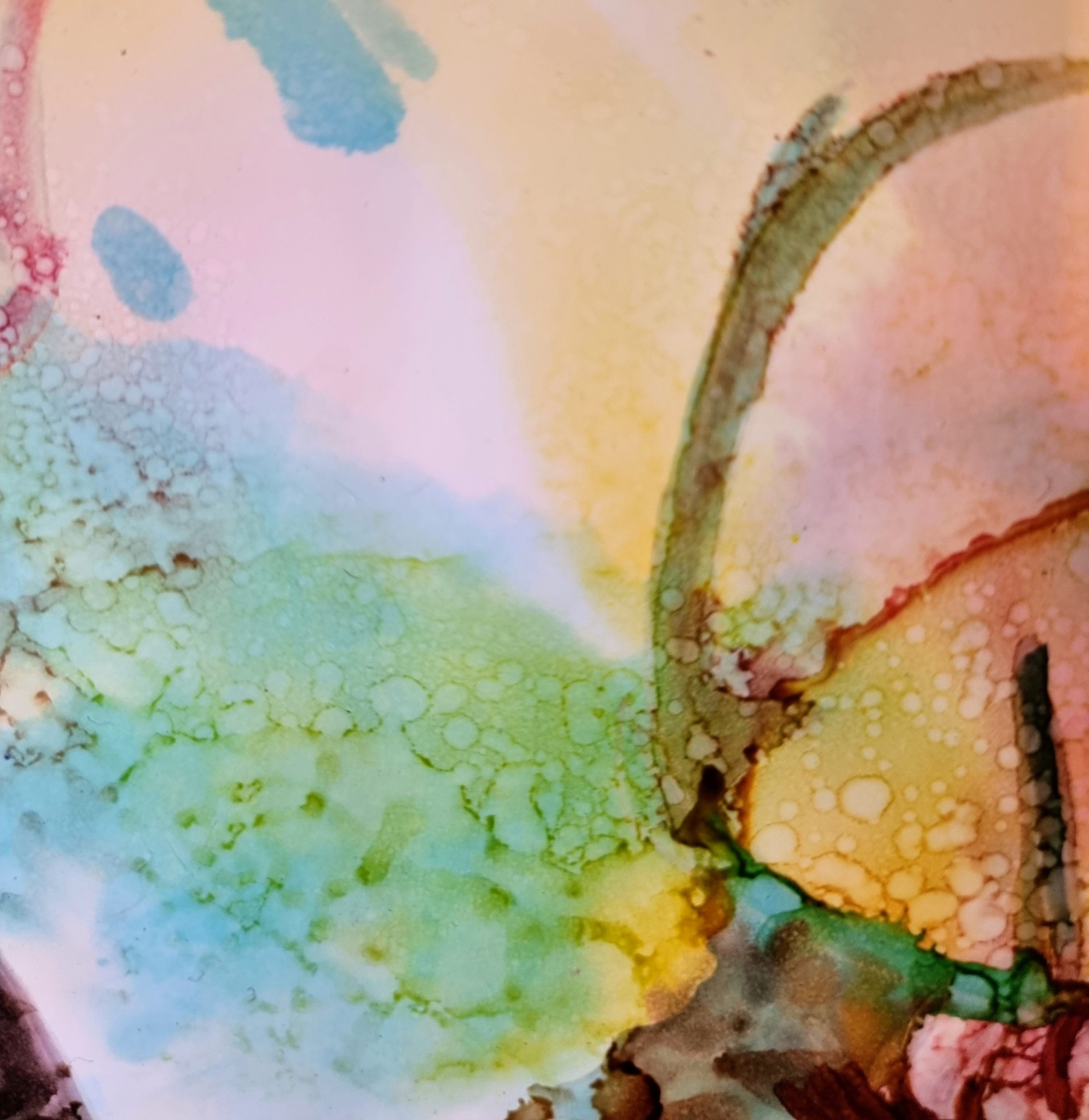 Transformation Detail4