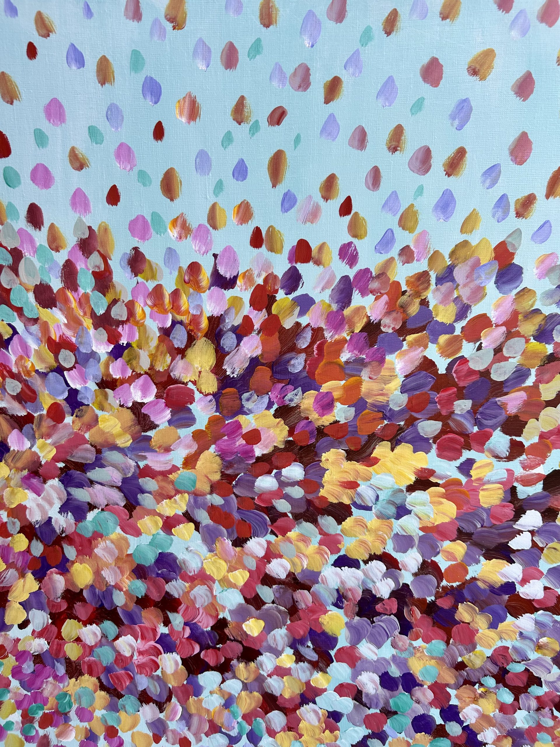 D488872a 29b6 4765 Aac9 B098f77c857a