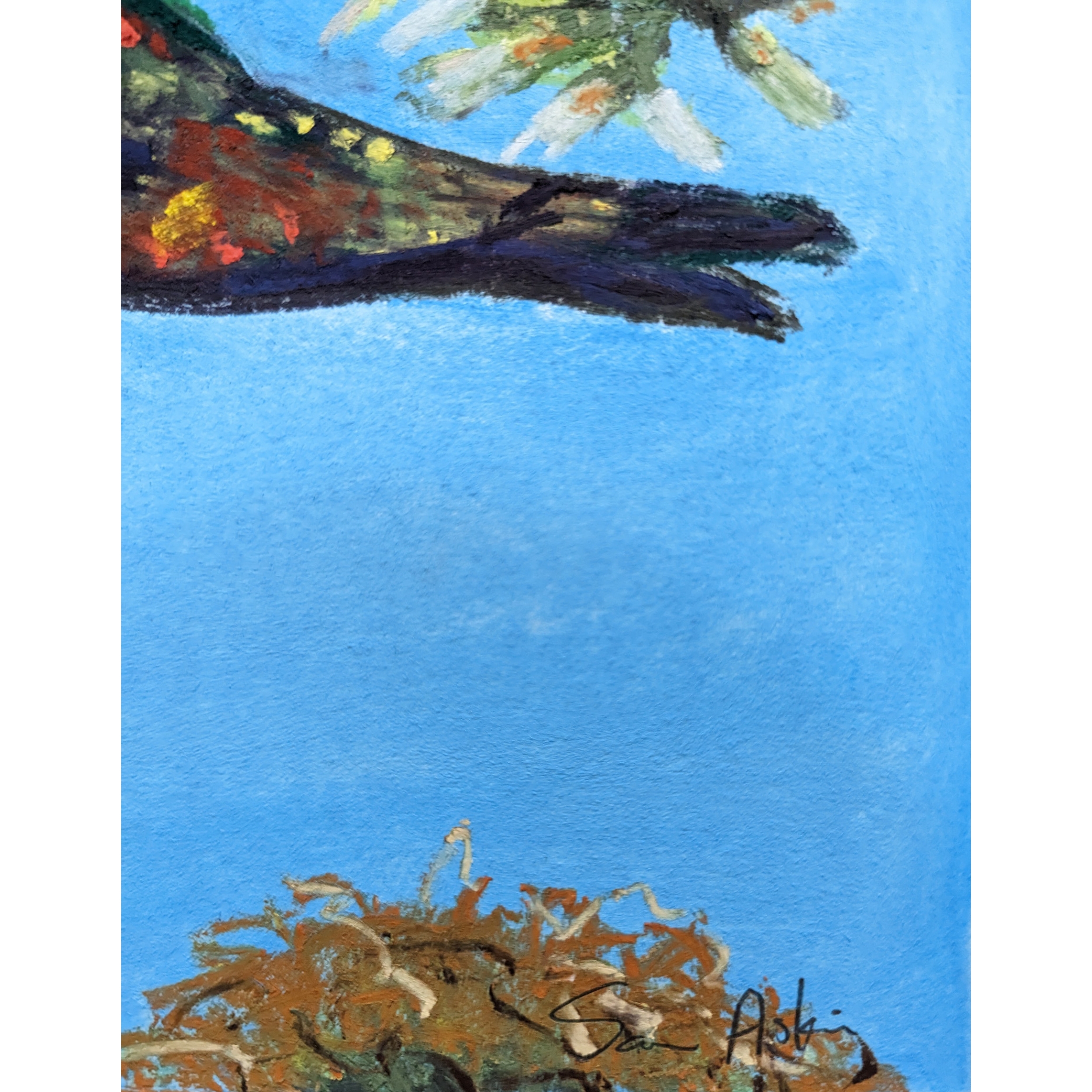 Sam Askin Looking Lorikeets Signature