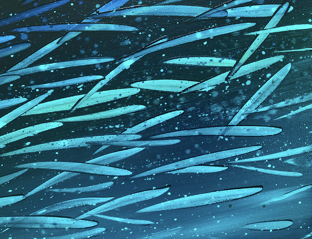 Fleeting Fish Close Lr