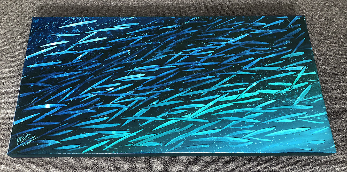 Fleeting Fish Bottom Lr