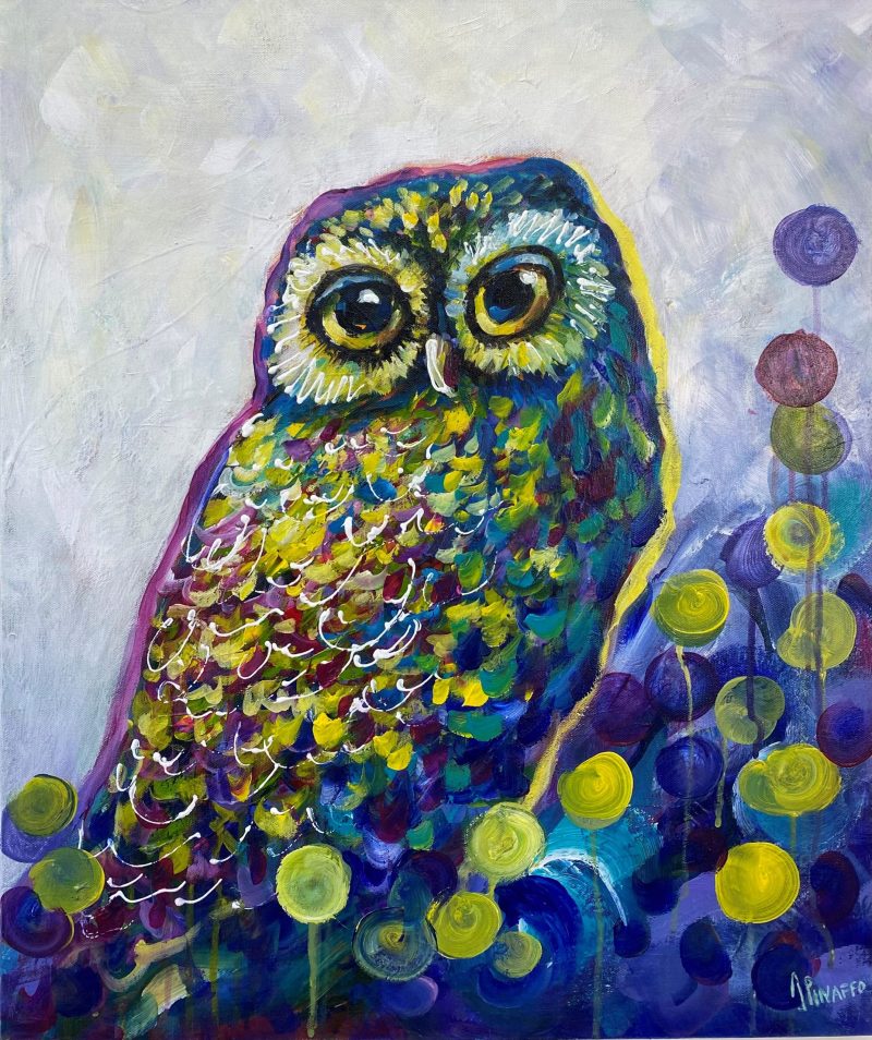 The colorful owl