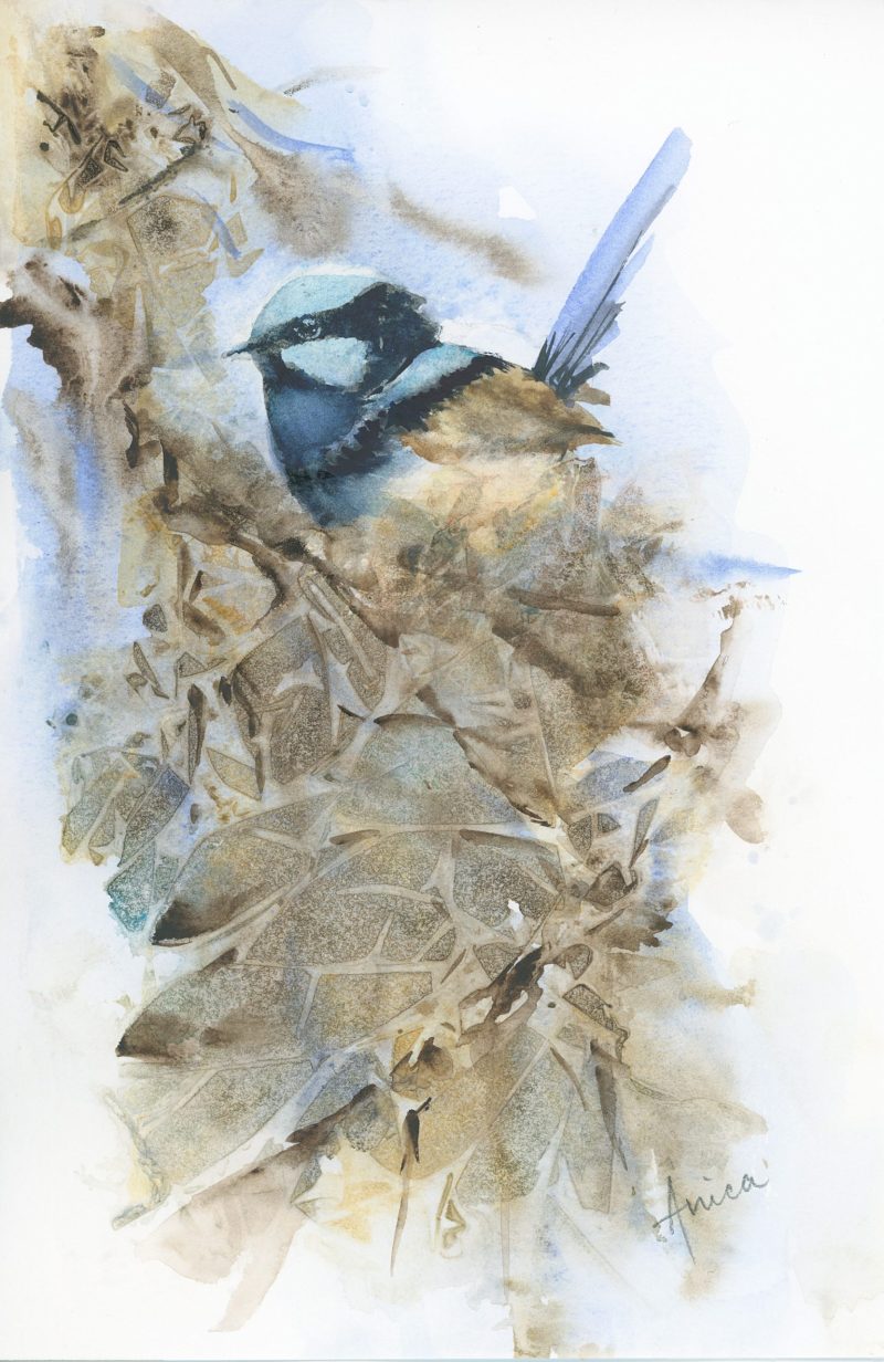 Blue Wren in Twigs and Leaves - Art Lovers Australia