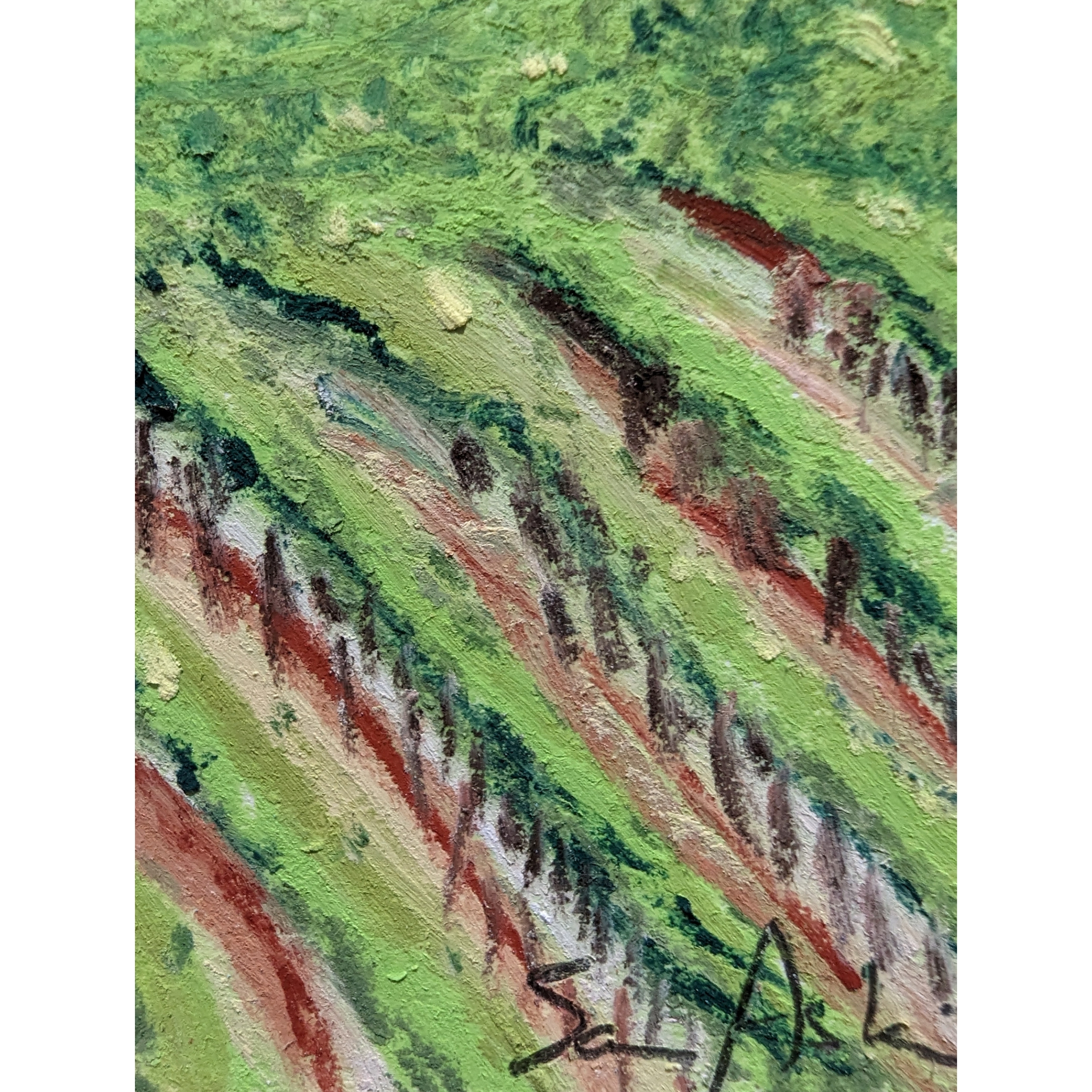 Sam Askin Clare Valley Vineyard Grape Vines