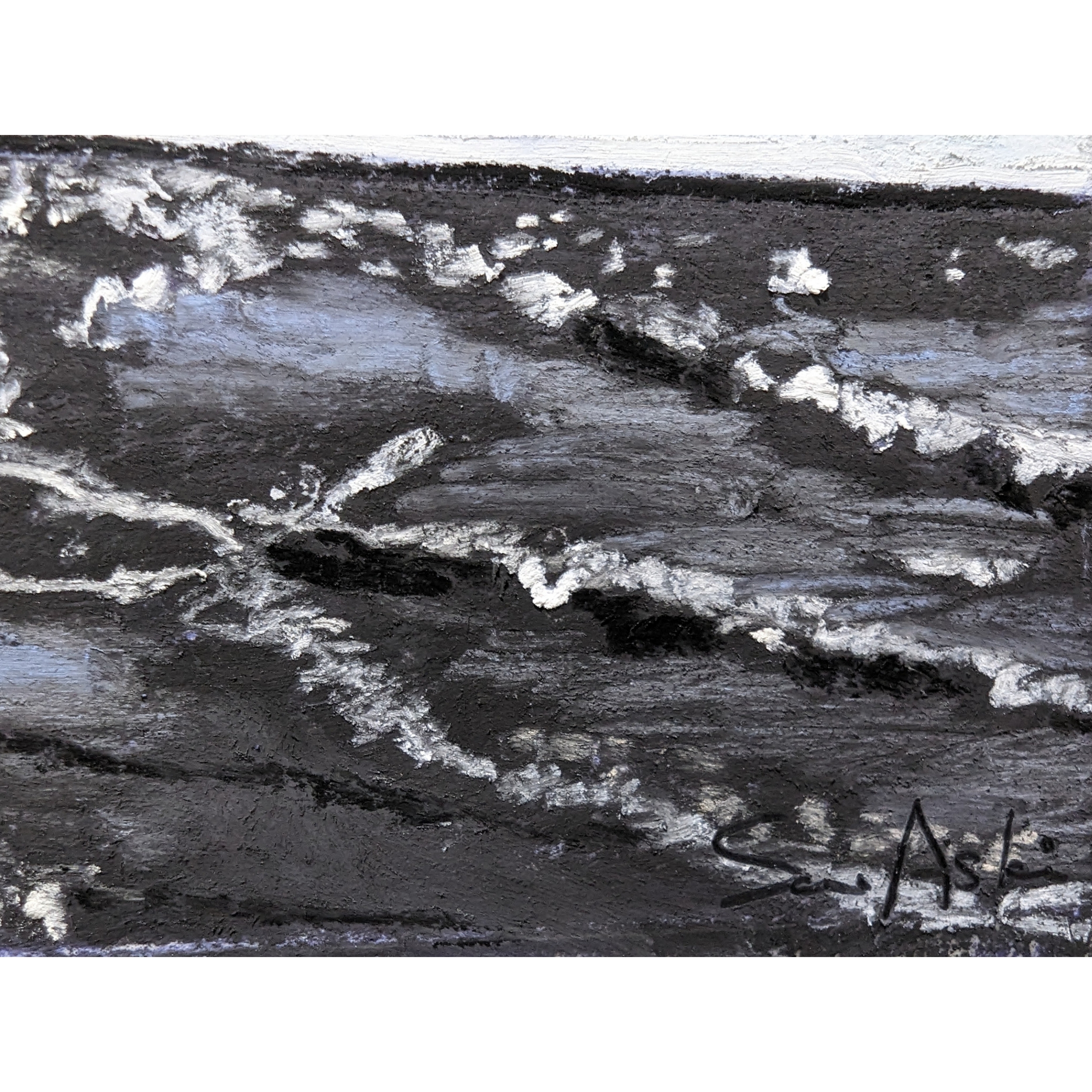 Sam Askin Sunny Beach Shore