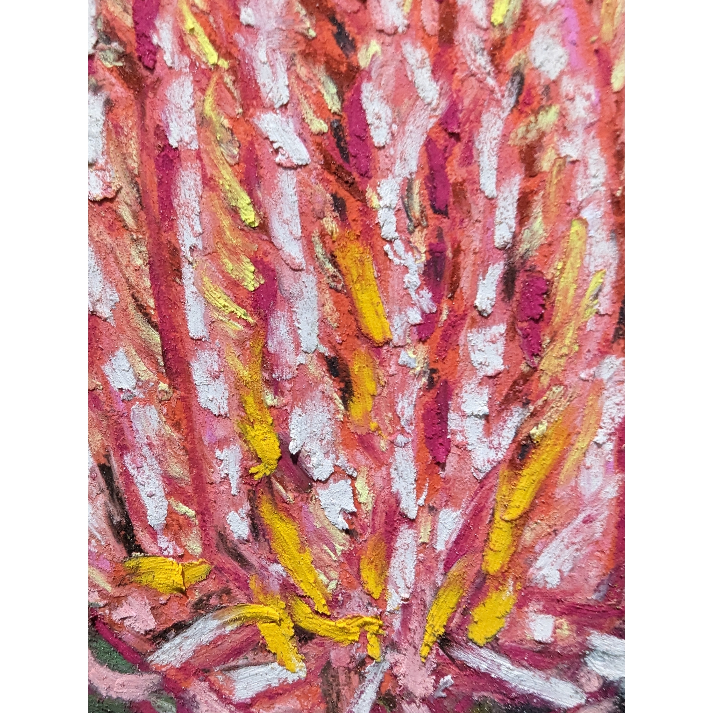 Sam Askin Banksia Flower