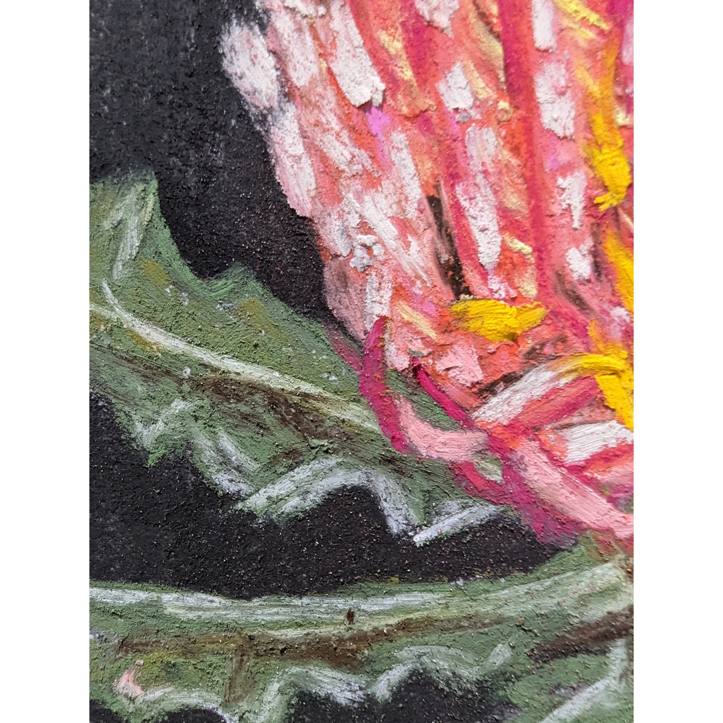 Sam Askin Banksia Leaves