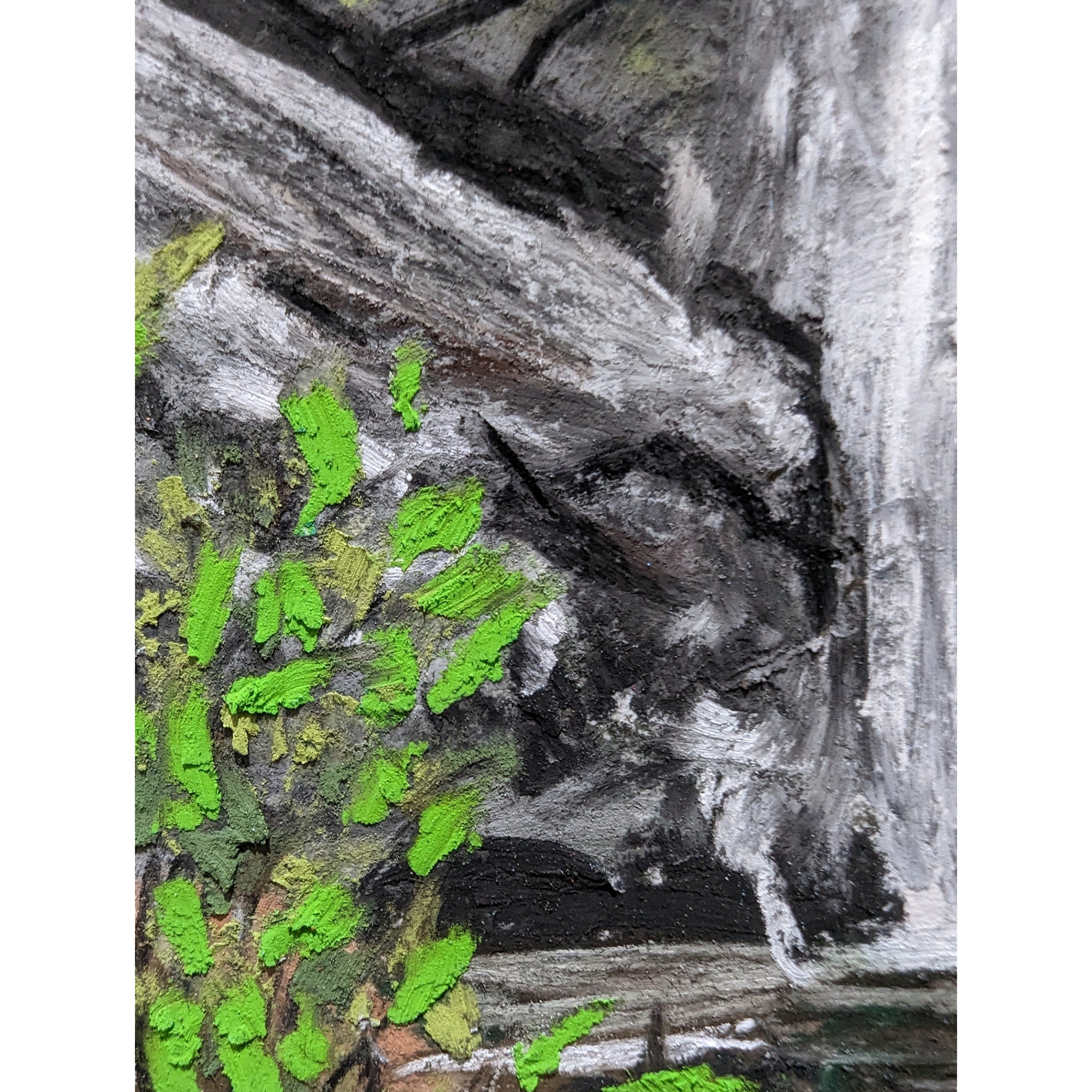 Sam Askin Wallaman Falls Plants