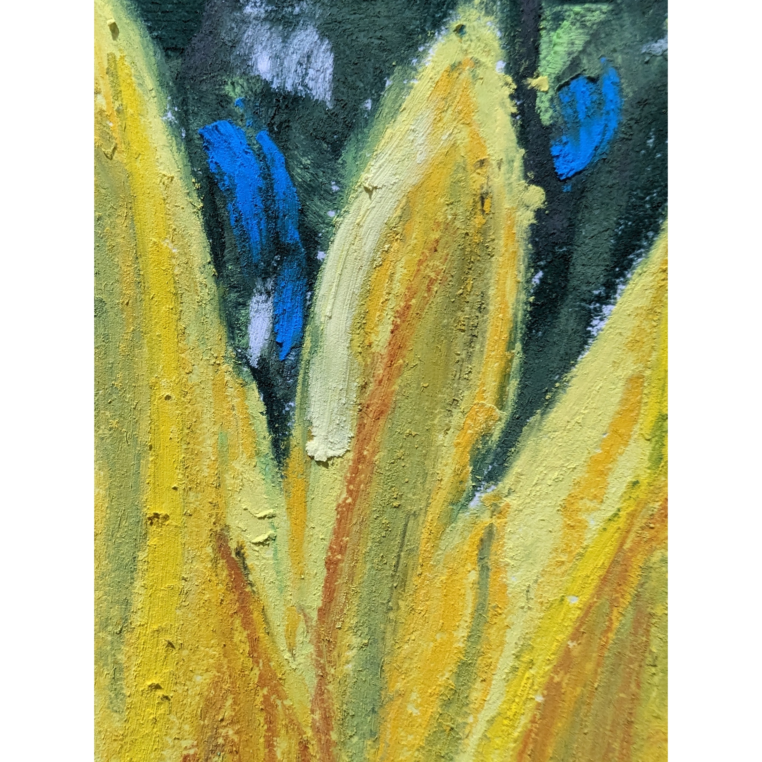 Sam Askin Bee And Sunflower Petals