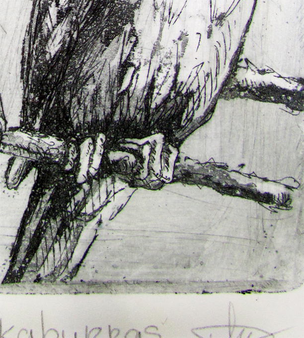 Two Kookabarras Det3