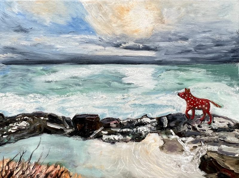 Wind On The Water, Red Spotty Dog On The Rocks