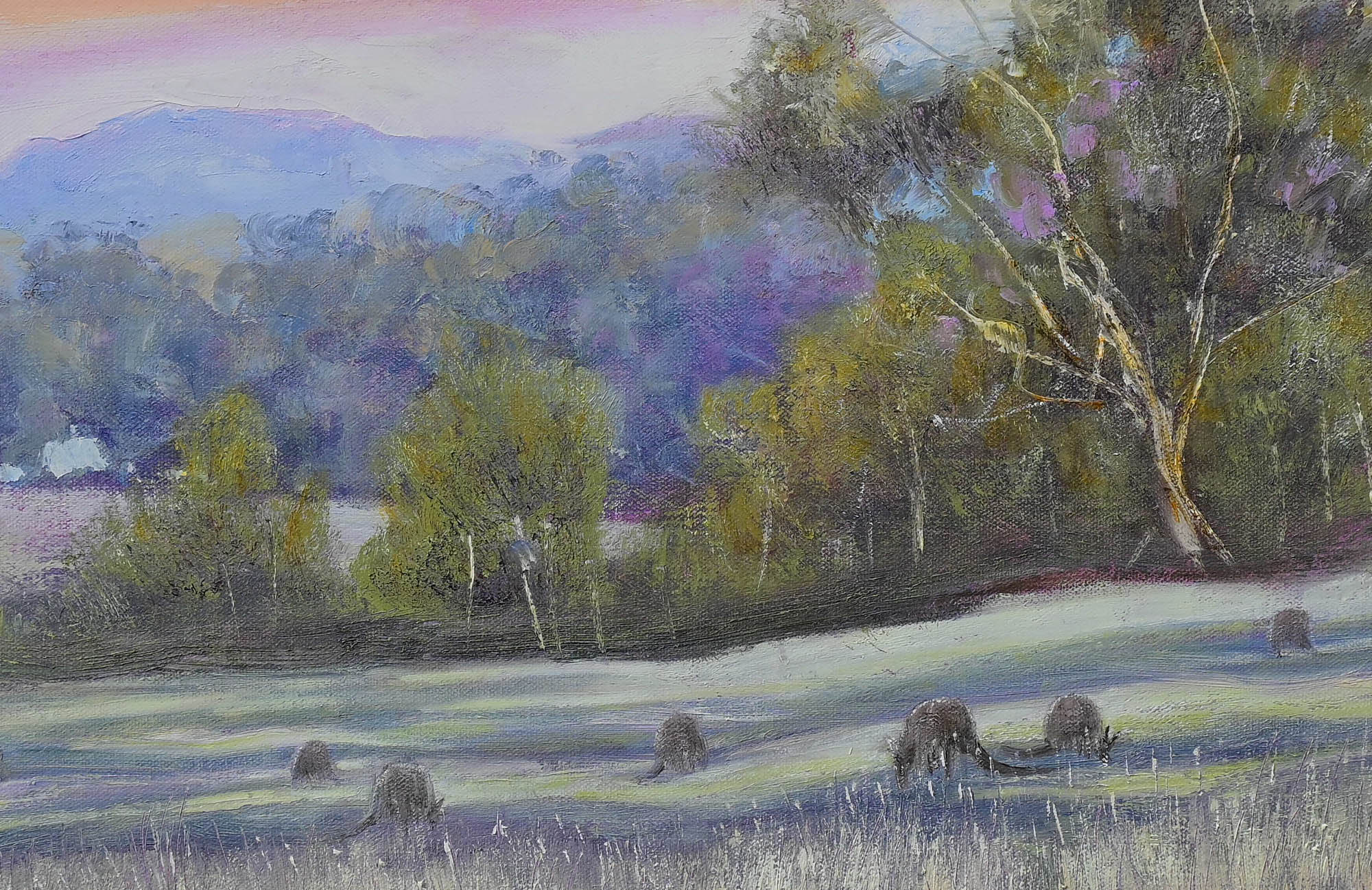 Australian Pastoral Detail