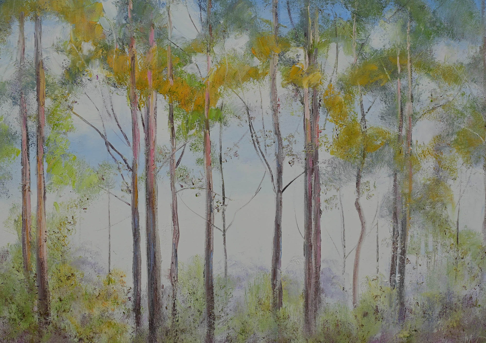 Karri Colors 2 Detail