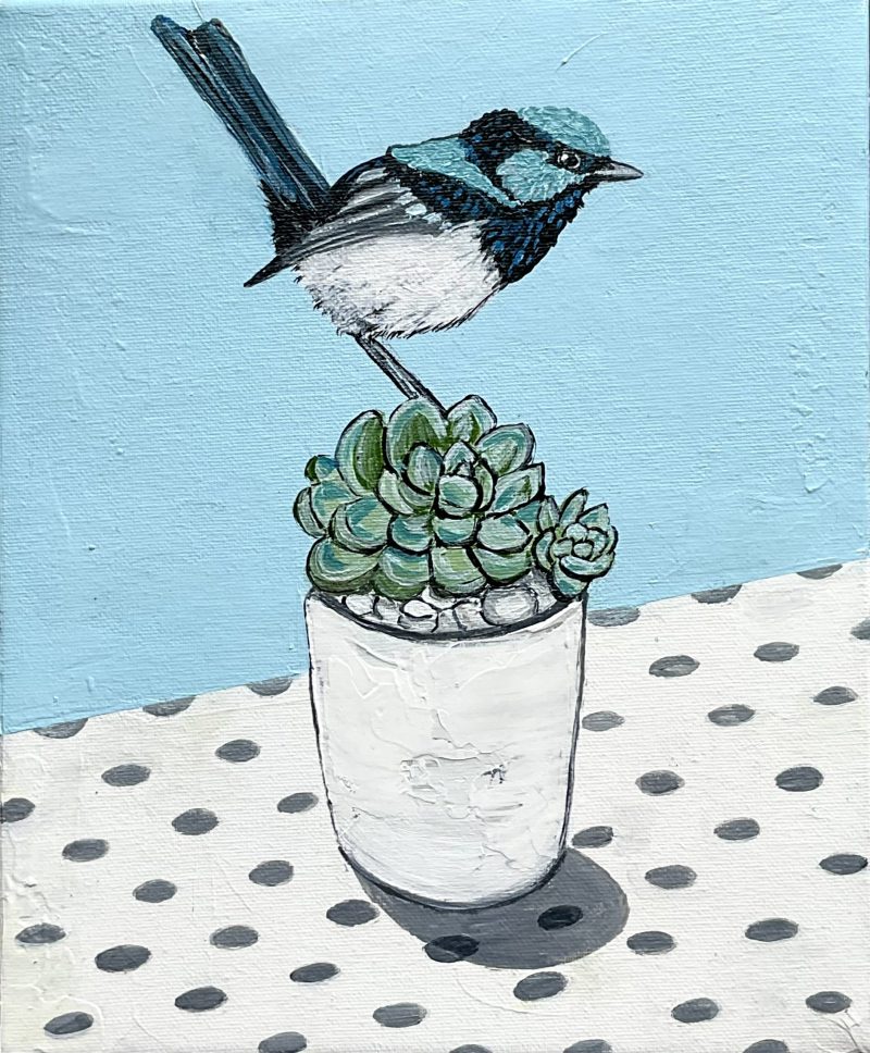 Fairy-wren and the succulents on the polka dot tablecloth