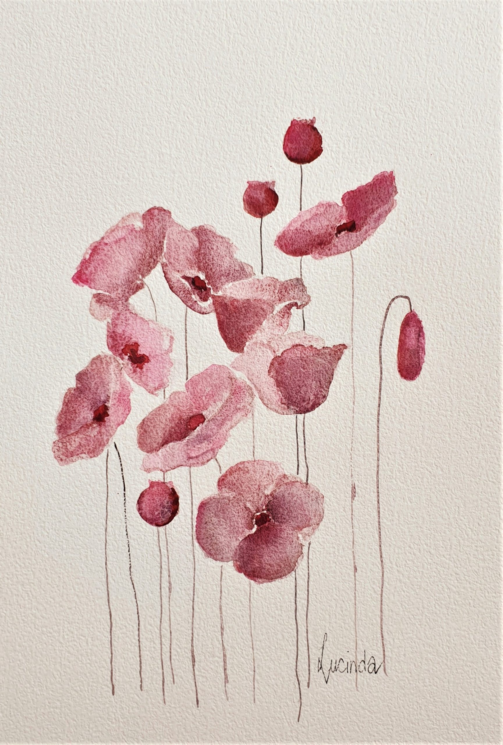 Dusty Pink Poppies Lucinda Leveille 1