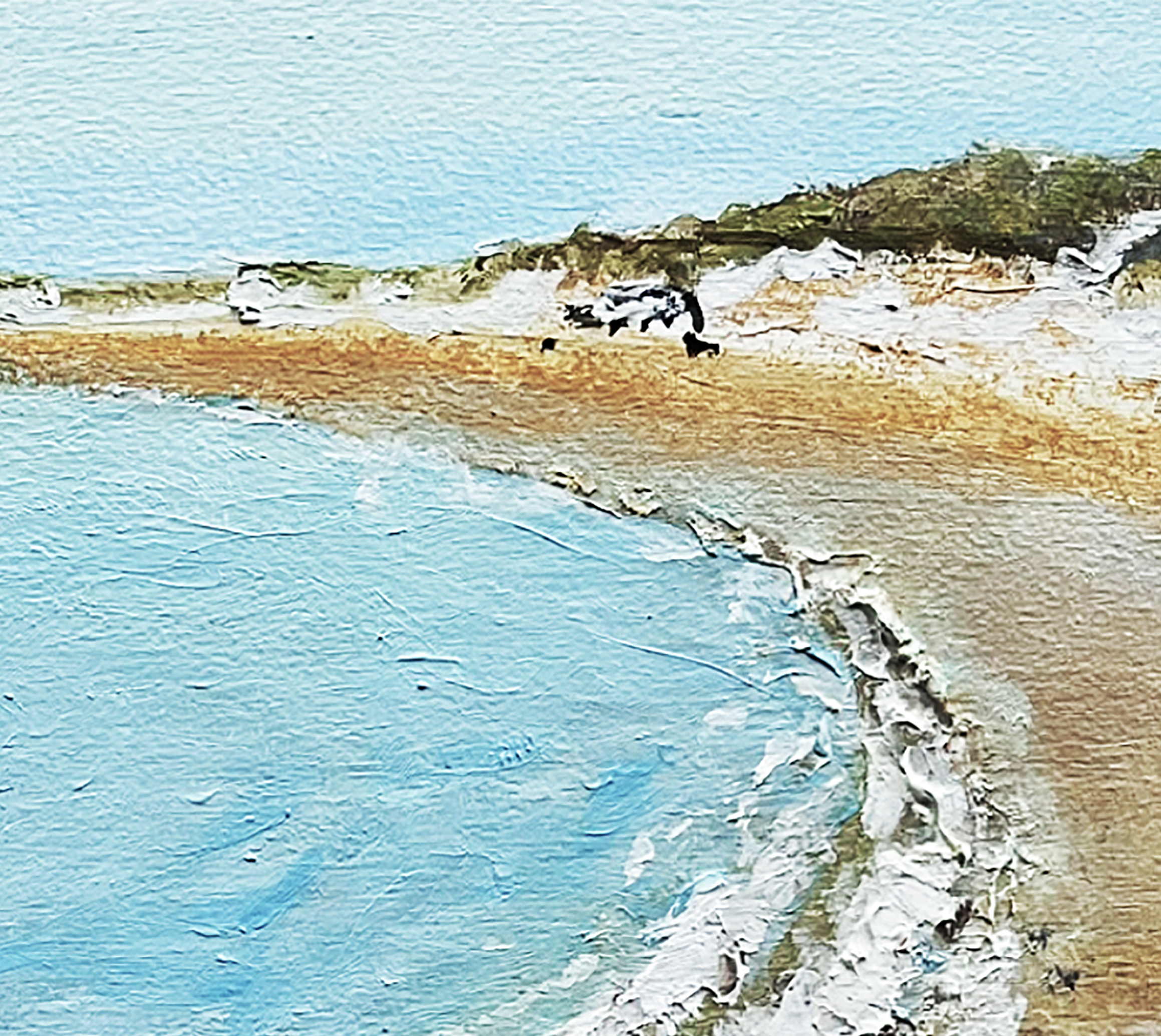 Boat Harbour View South Detail1