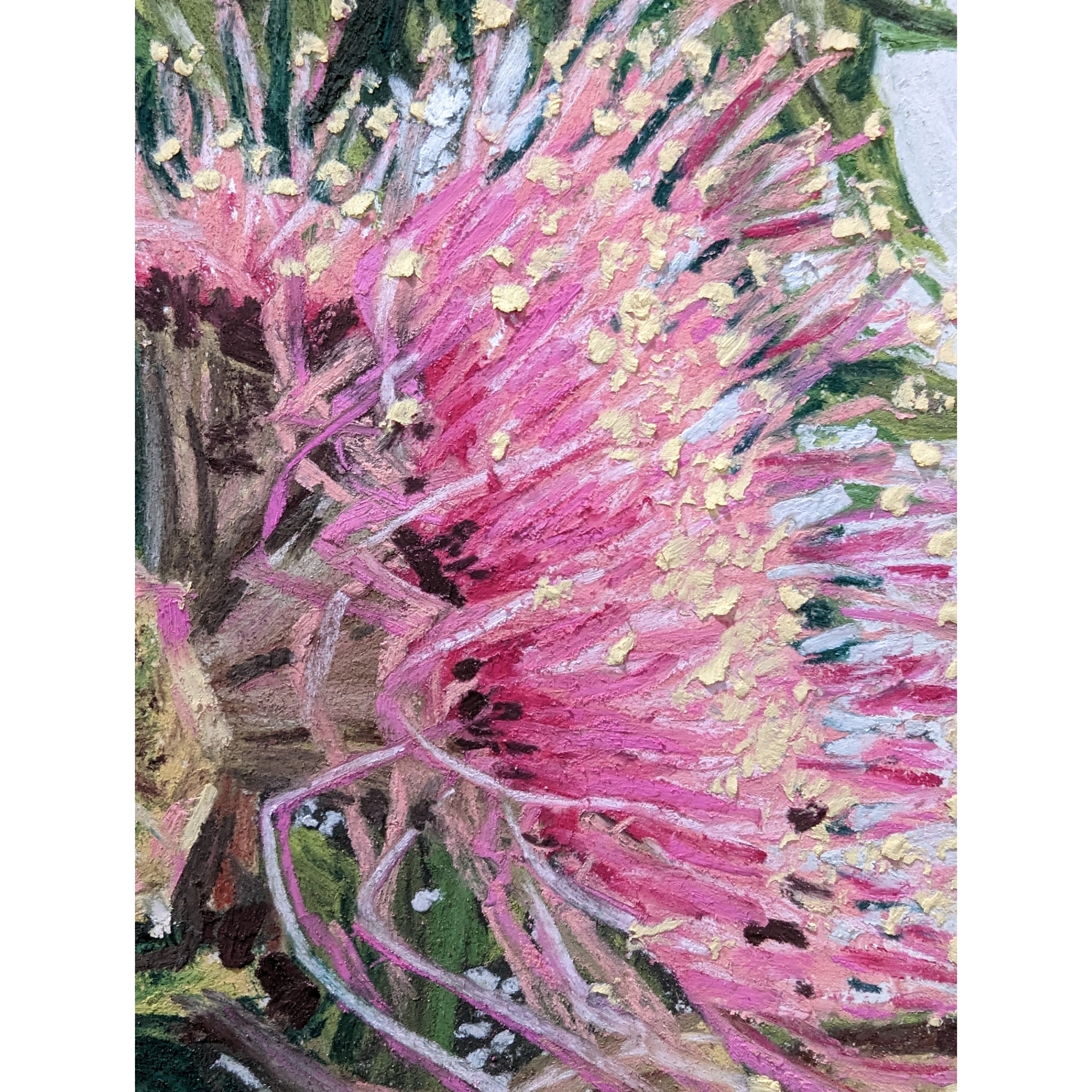 Sam Askin Gumnut Flowers Bloom