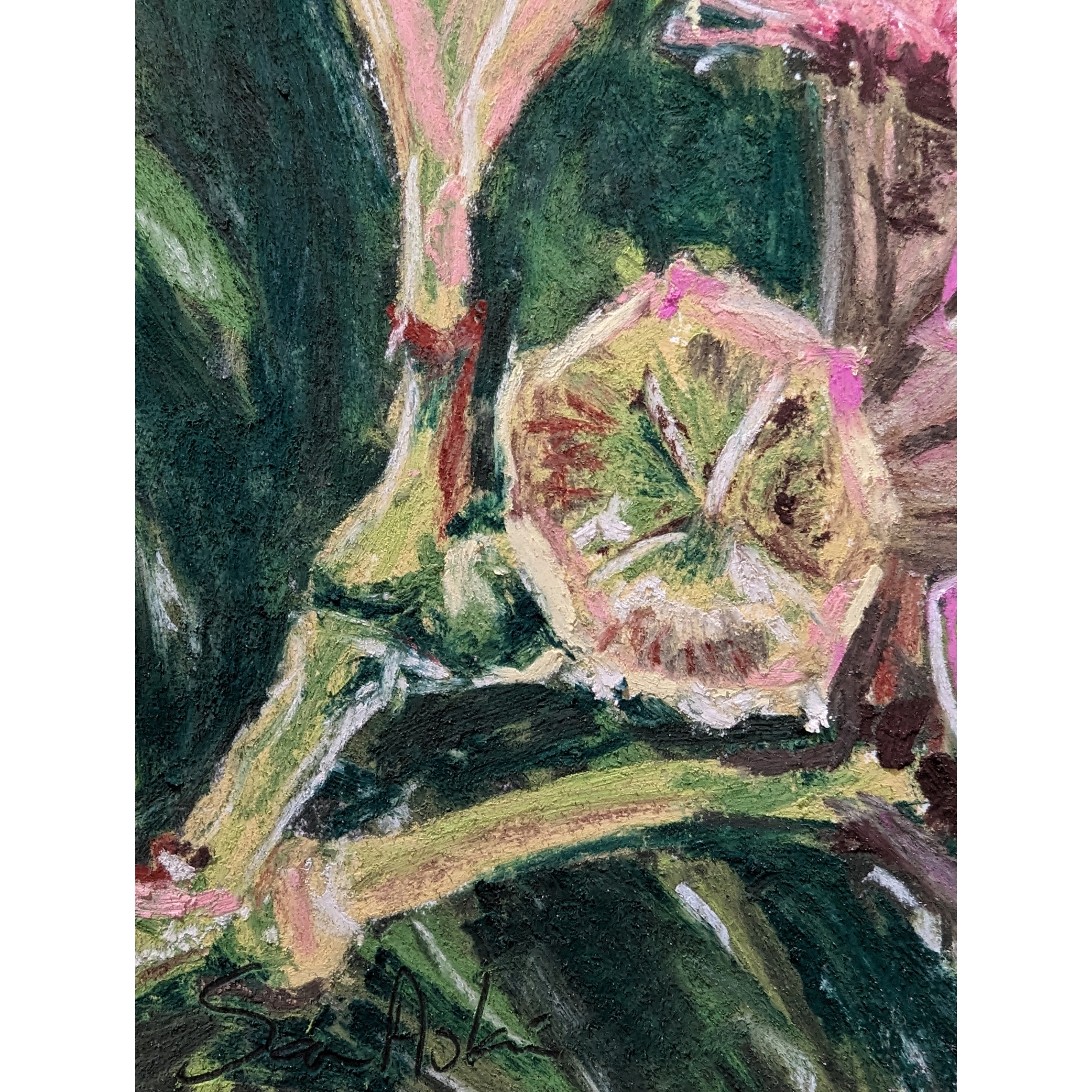 Sam Askin Gumnut Flowers Signature