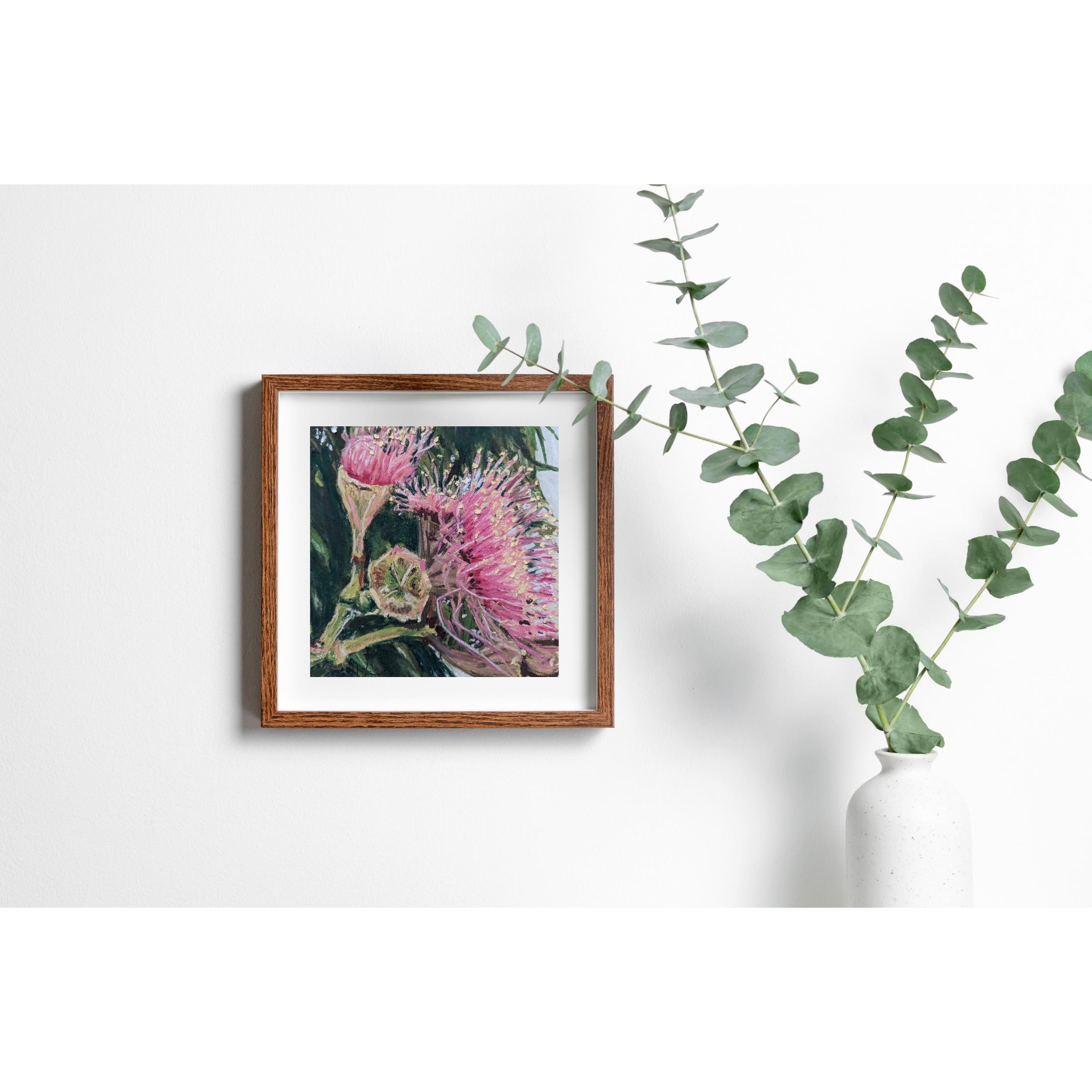 Sam Askin Gumnut Flowers In Situ