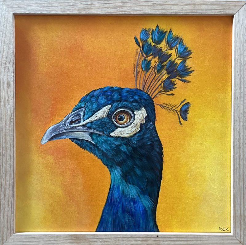 Peacock Pride- in Orange