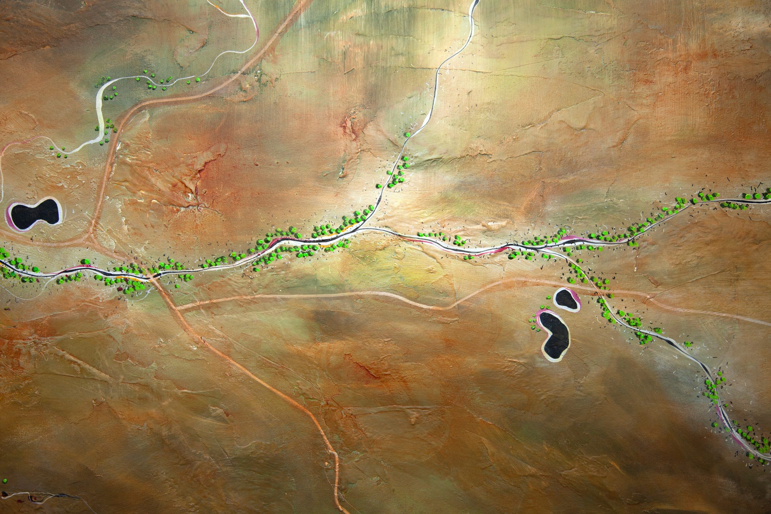 Tania Chanter Aerial Landscape The Caramel Plains Of Hope Detail